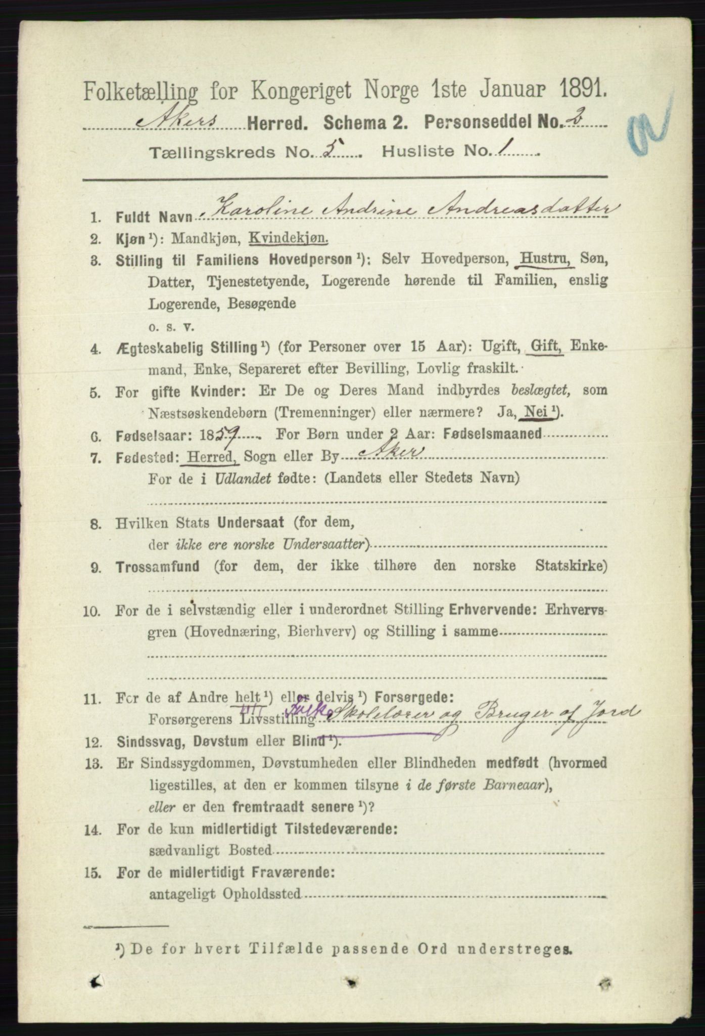 RA, 1891 census for 0218 Aker, 1891, p. 4972