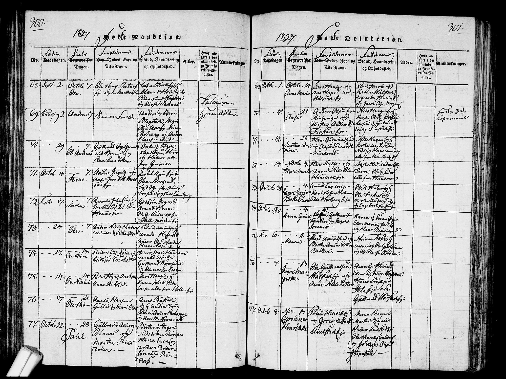 Nes prestekontor Kirkebøker, AV/SAO-A-10410/G/Ga/L0001: Parish register (copy) no. I 1, 1815-1835, p. 300-301