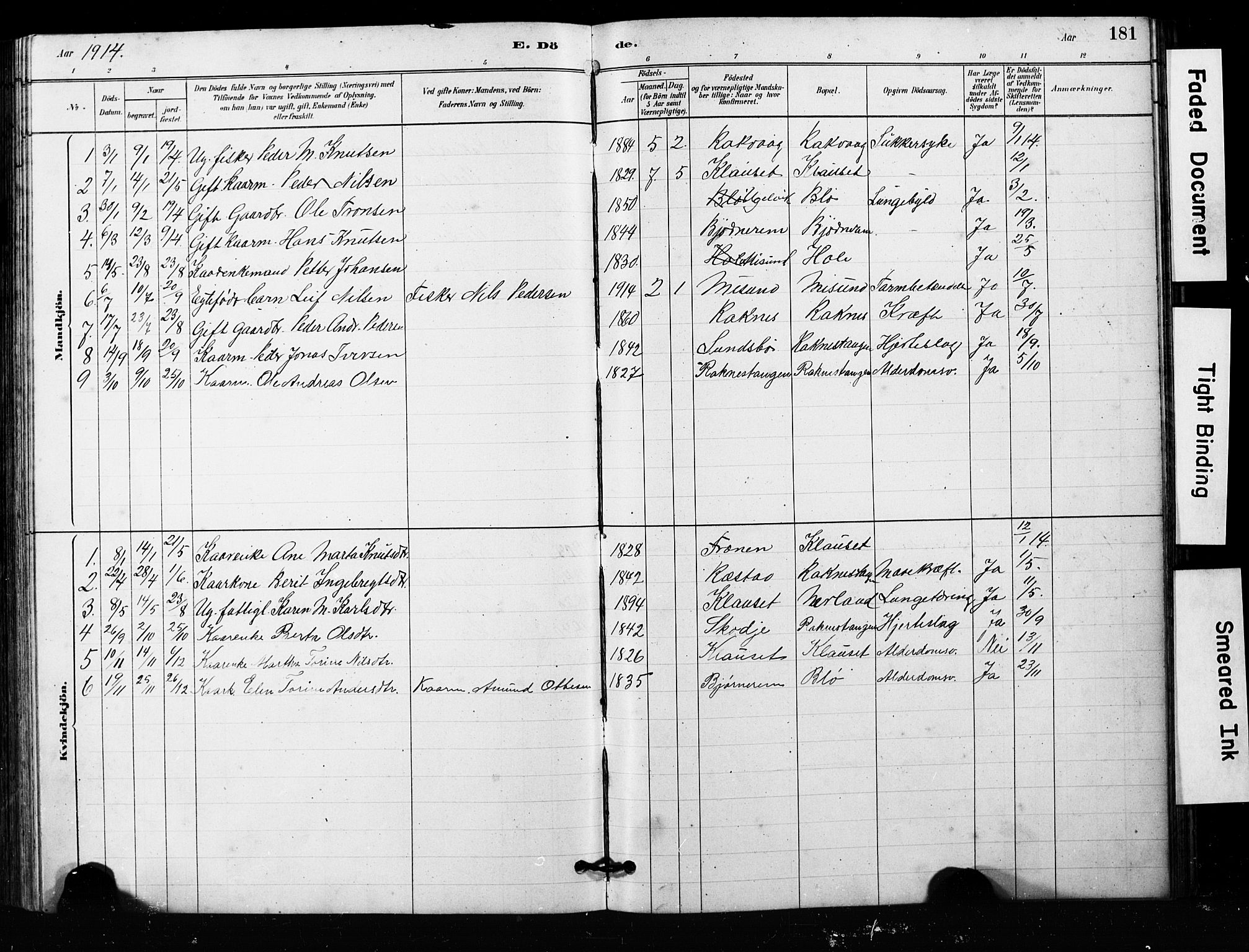 Ministerialprotokoller, klokkerbøker og fødselsregistre - Møre og Romsdal, SAT/A-1454/563/L0737: Parish register (copy) no. 563C01, 1878-1916, p. 181
