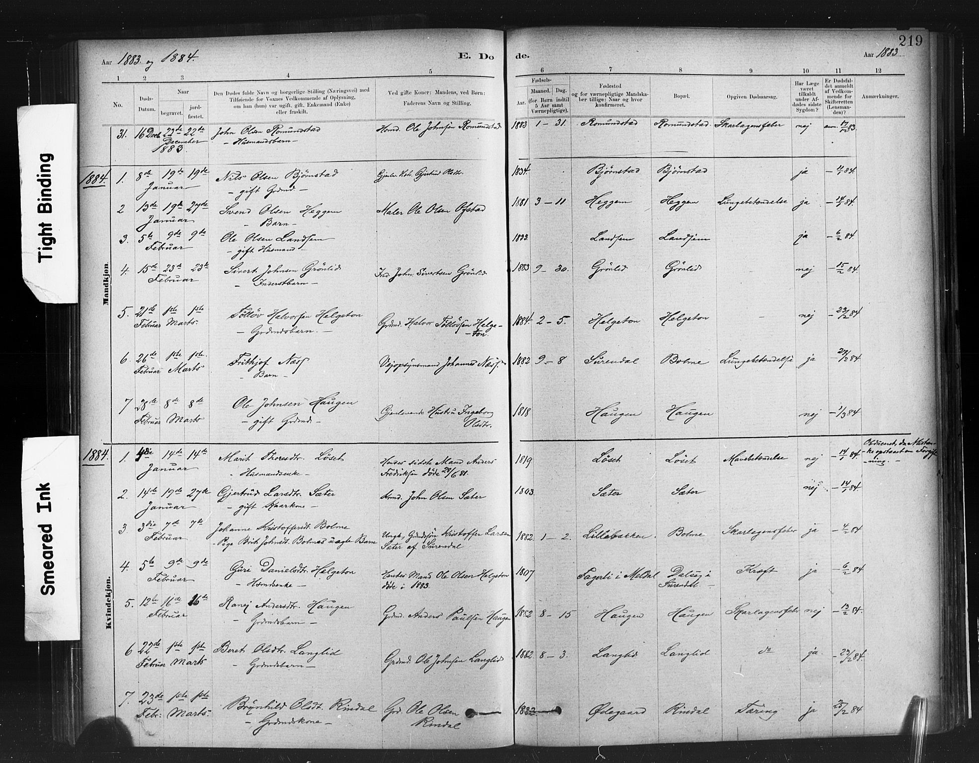 Ministerialprotokoller, klokkerbøker og fødselsregistre - Møre og Romsdal, AV/SAT-A-1454/598/L1069: Parish register (official) no. 598A03, 1882-1895, p. 219