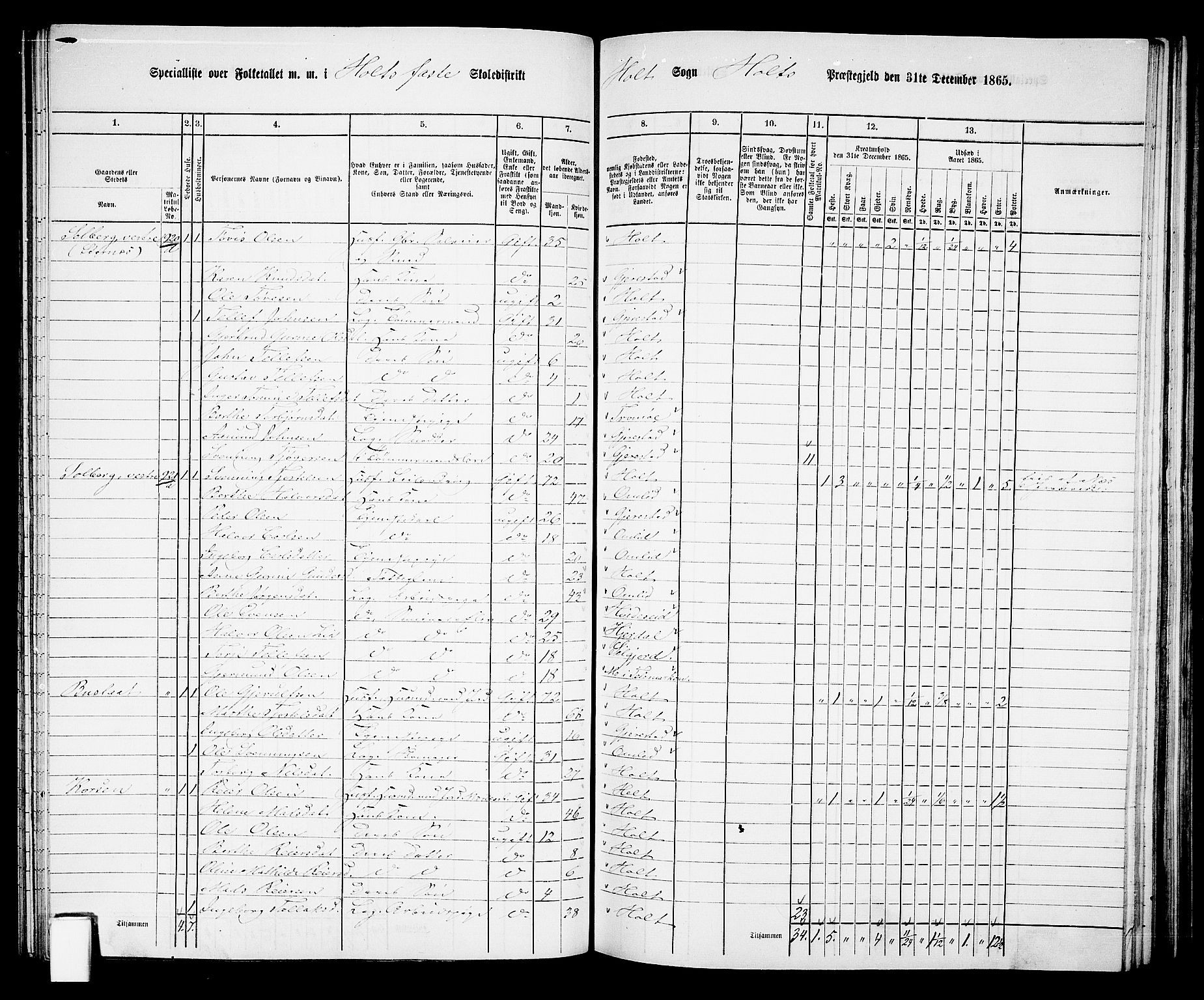 RA, 1865 census for Holt/Holt, 1865, p. 103