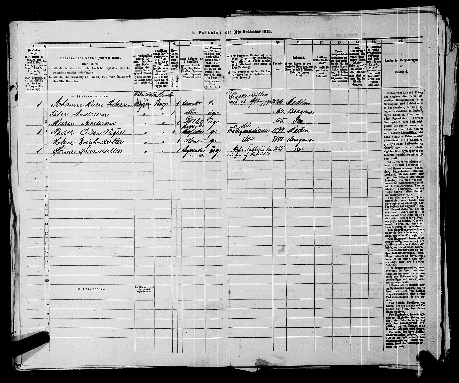 SAKO, 1875 census for 0602 Drammen, 1875, p. 507