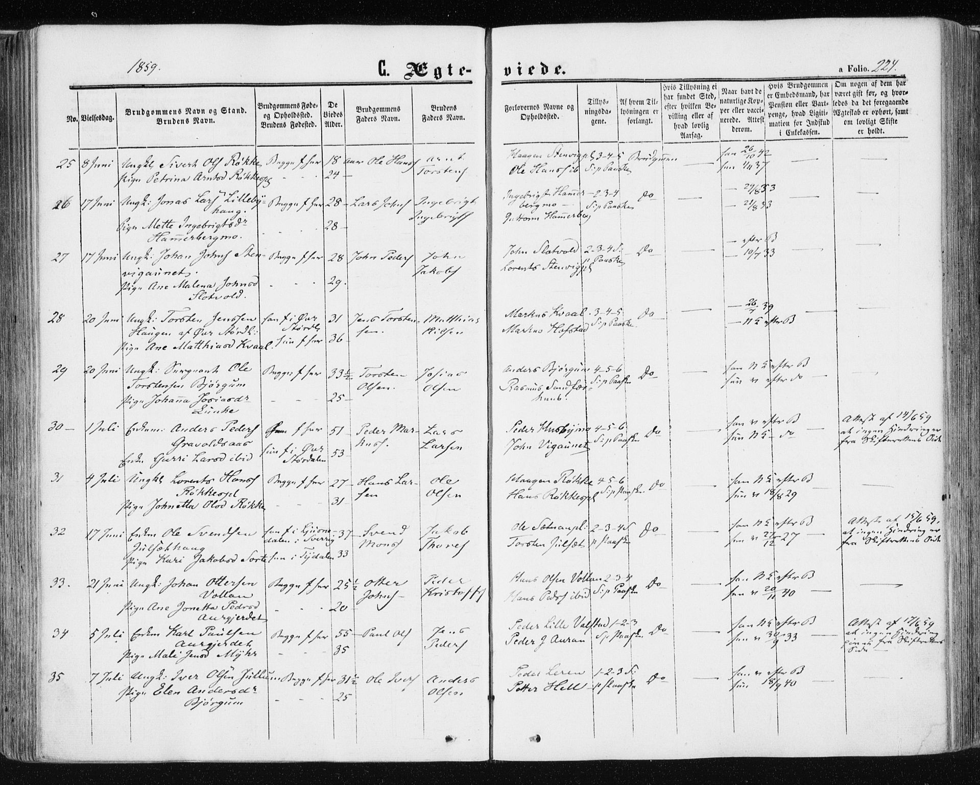 Ministerialprotokoller, klokkerbøker og fødselsregistre - Nord-Trøndelag, AV/SAT-A-1458/709/L0075: Parish register (official) no. 709A15, 1859-1870, p. 224