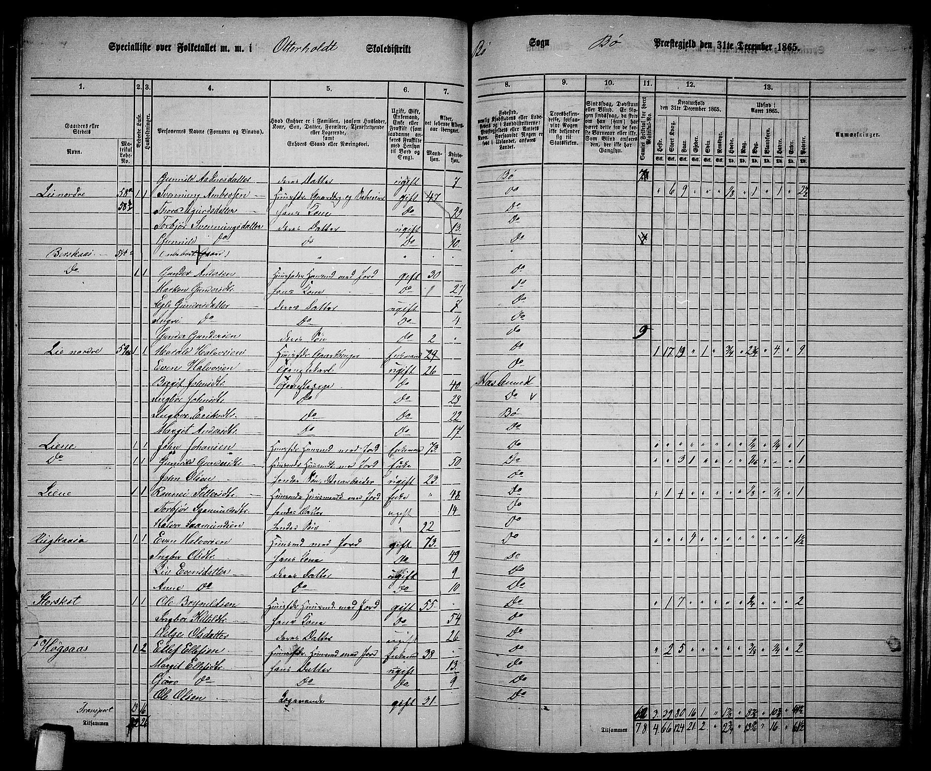 RA, 1865 census for Bø, 1865, p. 162