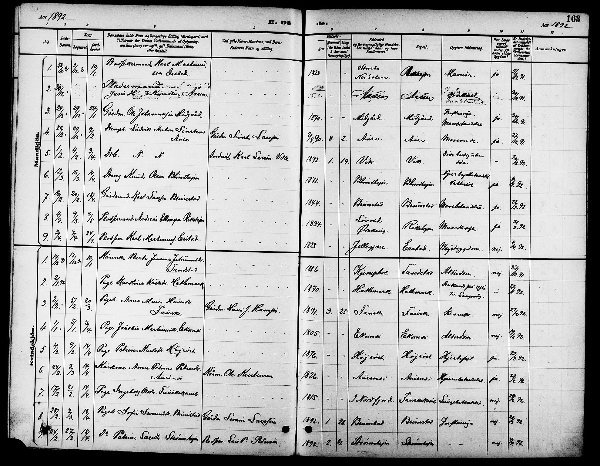 Ministerialprotokoller, klokkerbøker og fødselsregistre - Møre og Romsdal, SAT/A-1454/523/L0340: Parish register (copy) no. 523C03, 1892-1902, p. 163