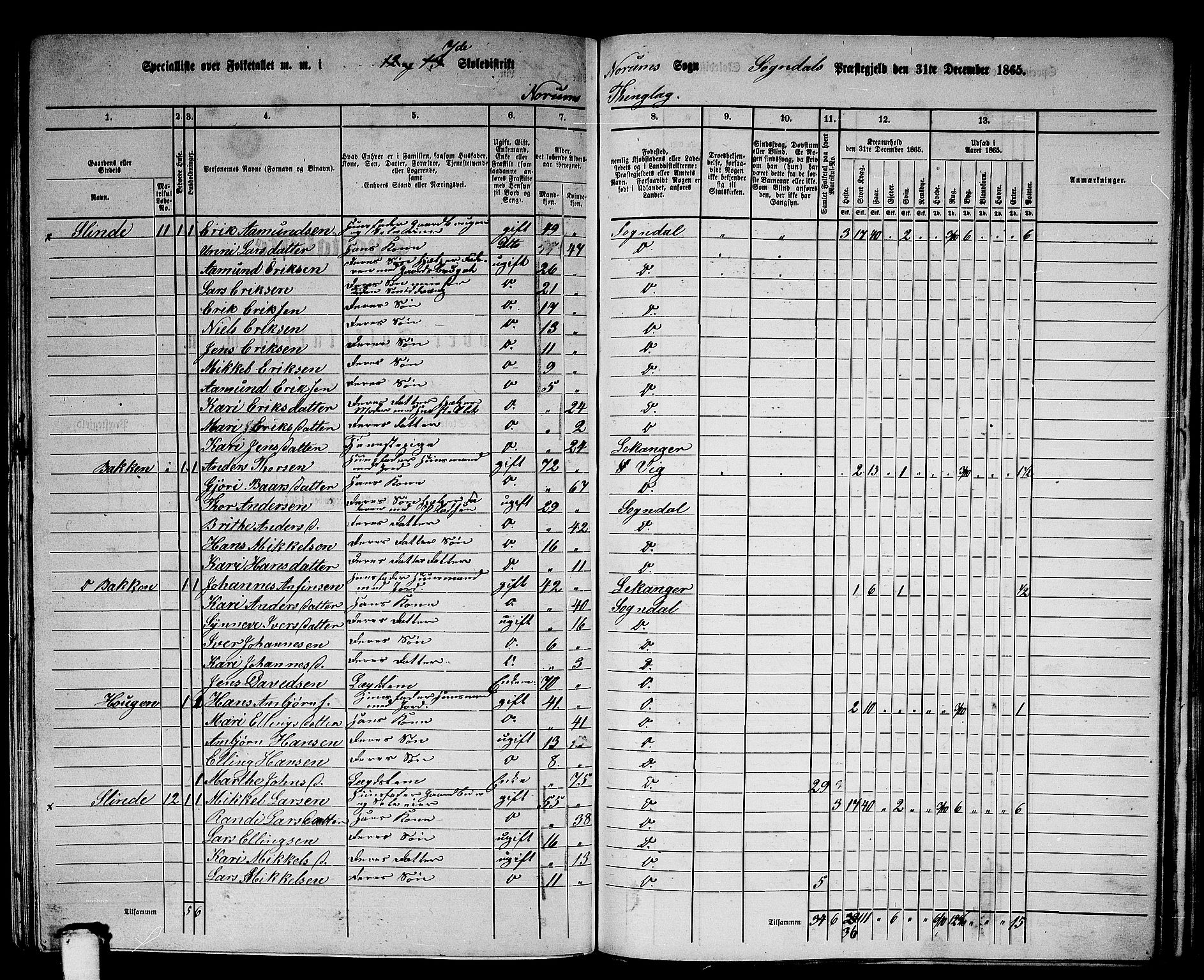 RA, 1865 census for Sogndal, 1865, p. 119