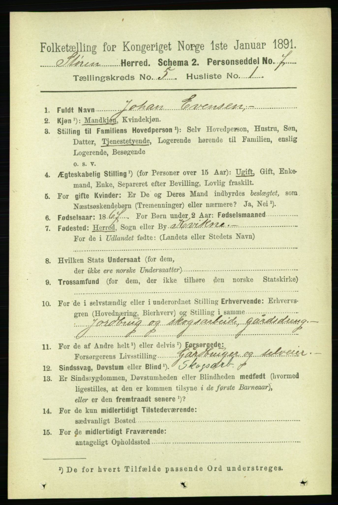 RA, 1891 census for 1648 Støren, 1891, p. 1936