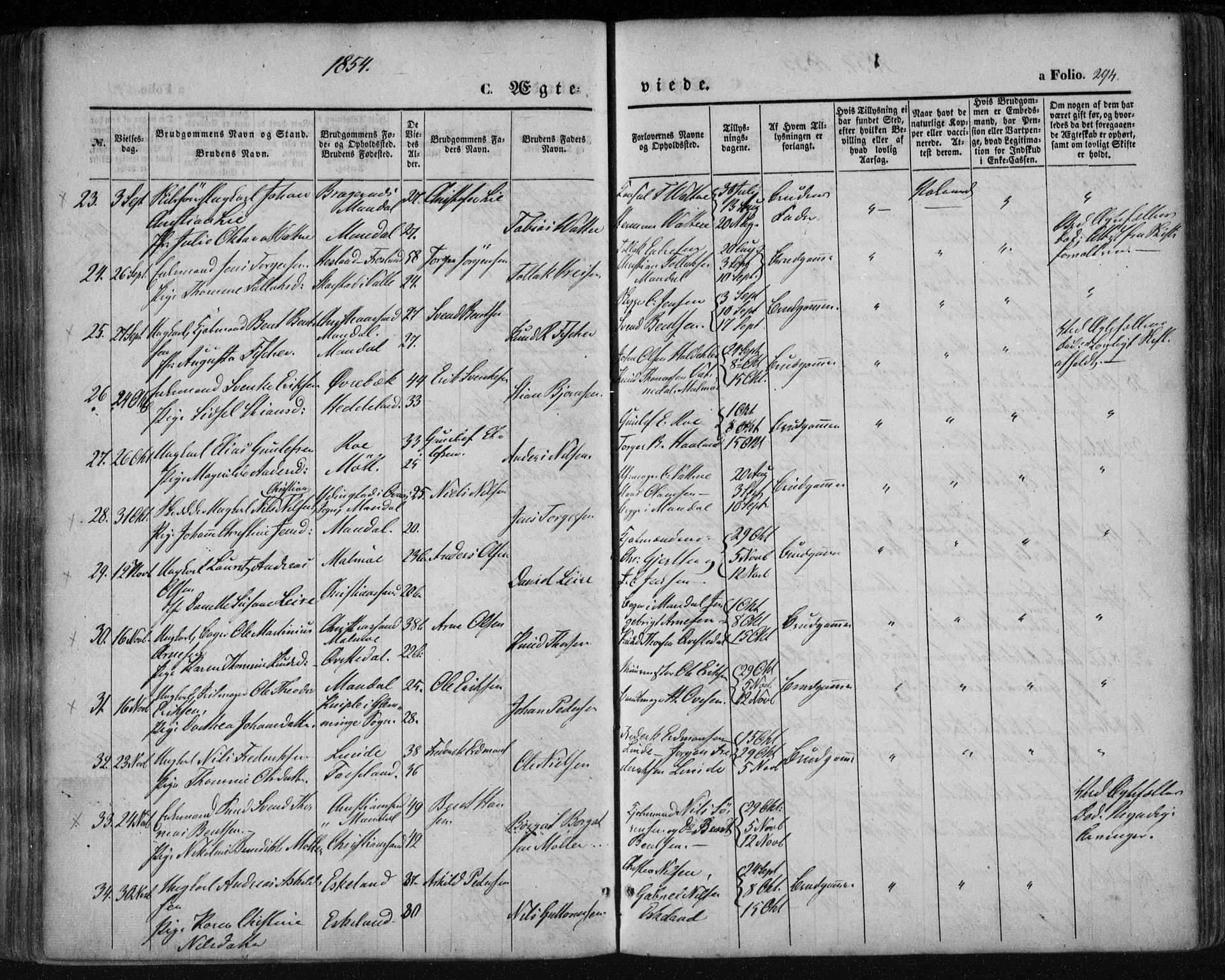 Mandal sokneprestkontor, AV/SAK-1111-0030/F/Fa/Faa/L0013: Parish register (official) no. A 13, 1847-1859, p. 294