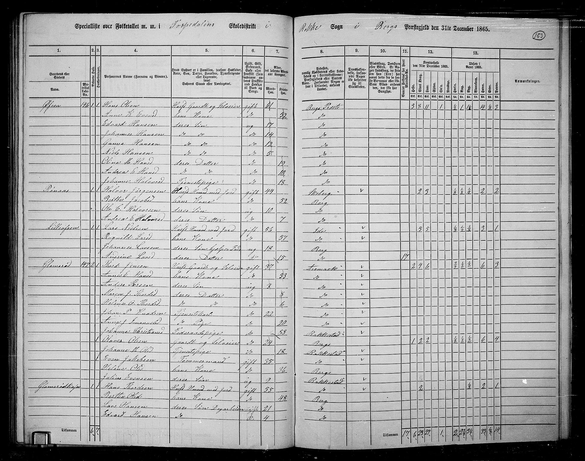 RA, 1865 census for Berg, 1865, p. 131