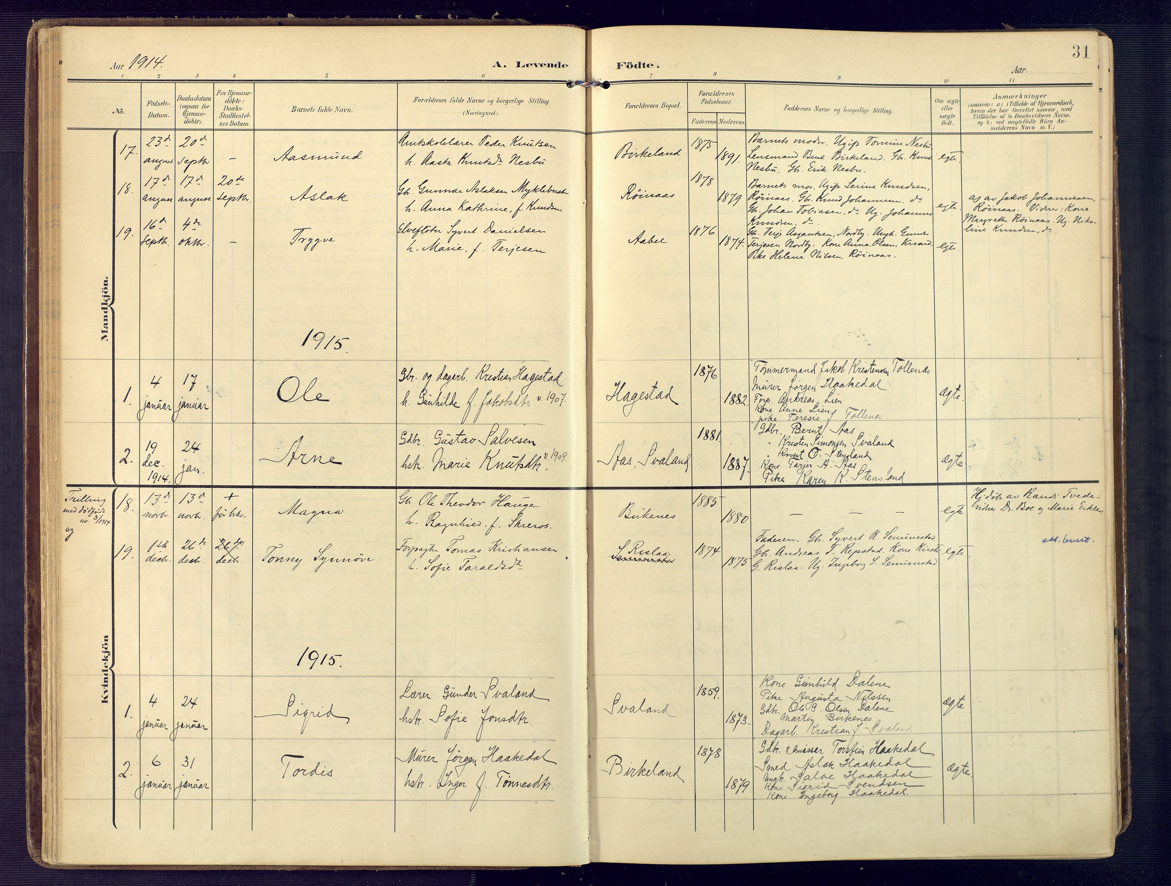 Birkenes sokneprestkontor, SAK/1111-0004/F/Fa/L0006: Parish register (official) no. A 6, 1908-1932, p. 31