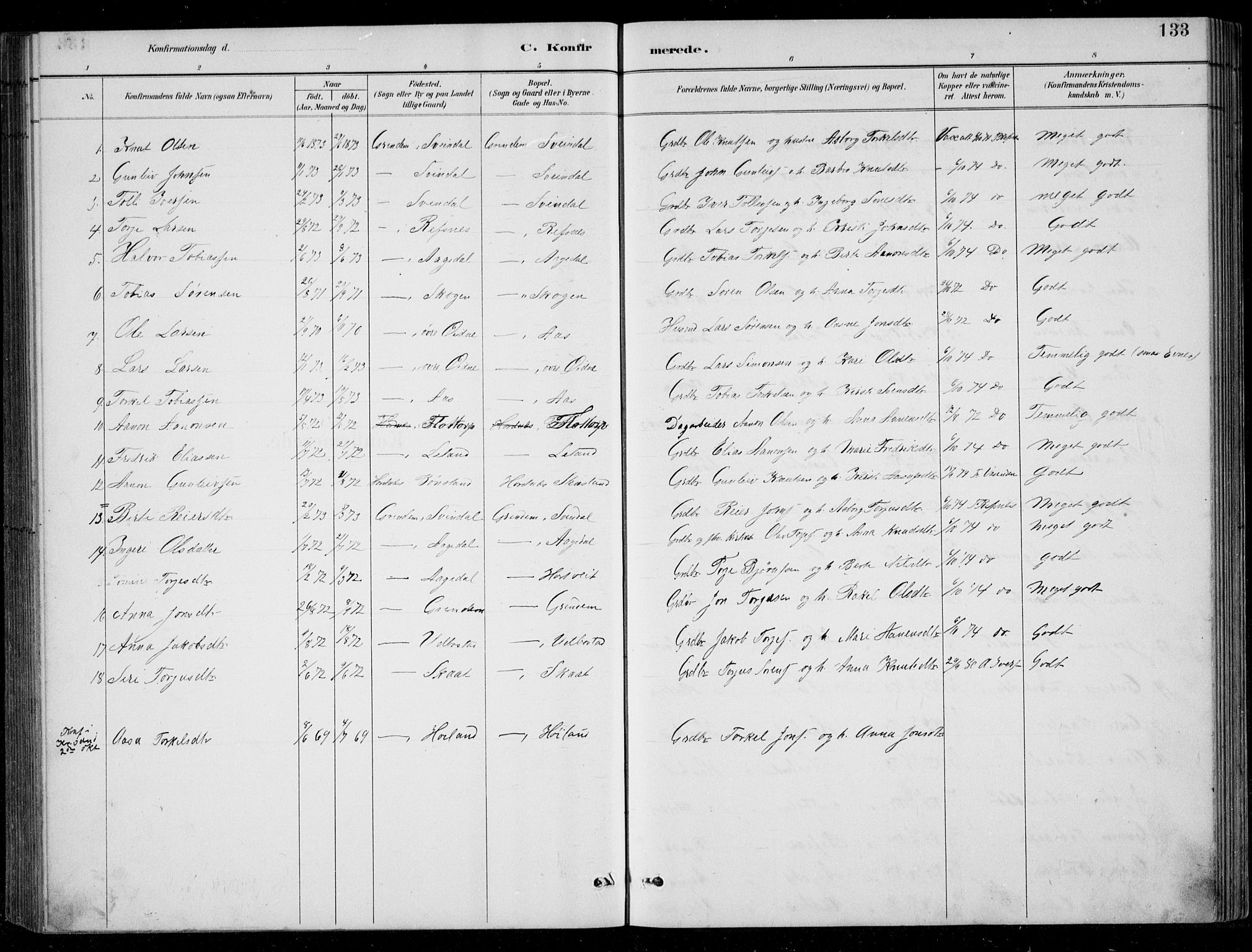 Bjelland sokneprestkontor, SAK/1111-0005/F/Fb/Fbc/L0003: Parish register (copy) no. B 3, 1887-1924, p. 133