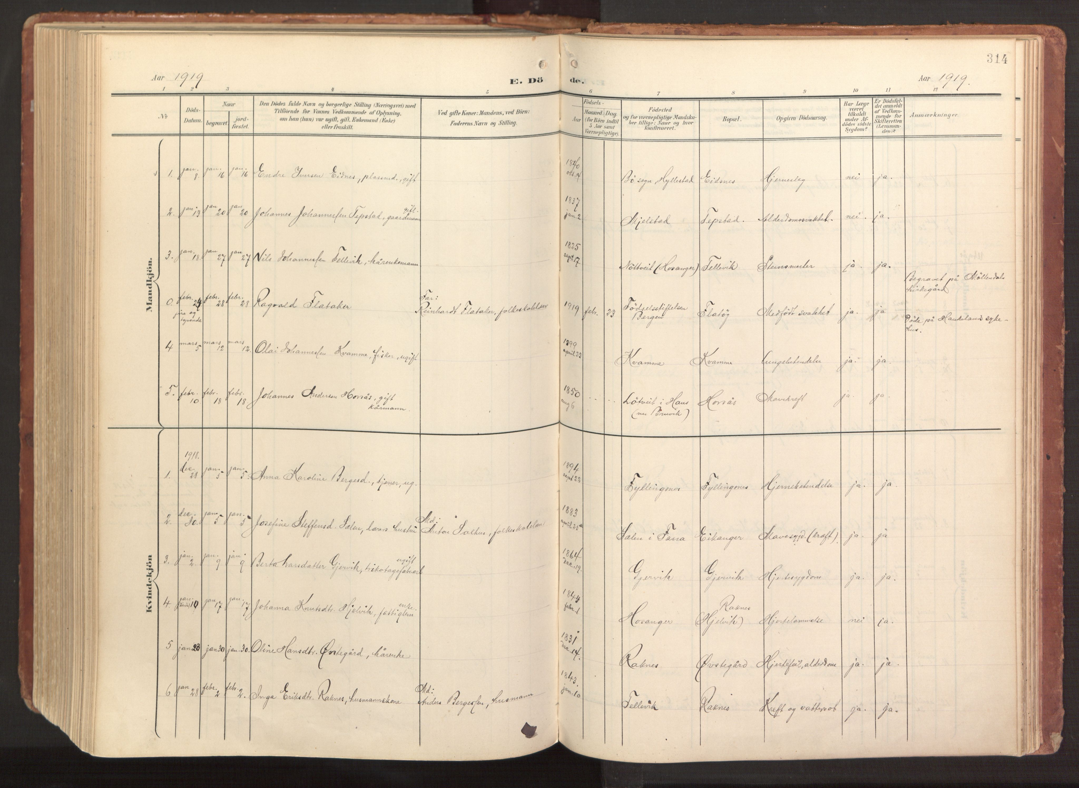 Hamre sokneprestembete, AV/SAB-A-75501/H/Ha/Haa/Haab/L0002: Parish register (official) no. B 2, 1905-1924, p. 314