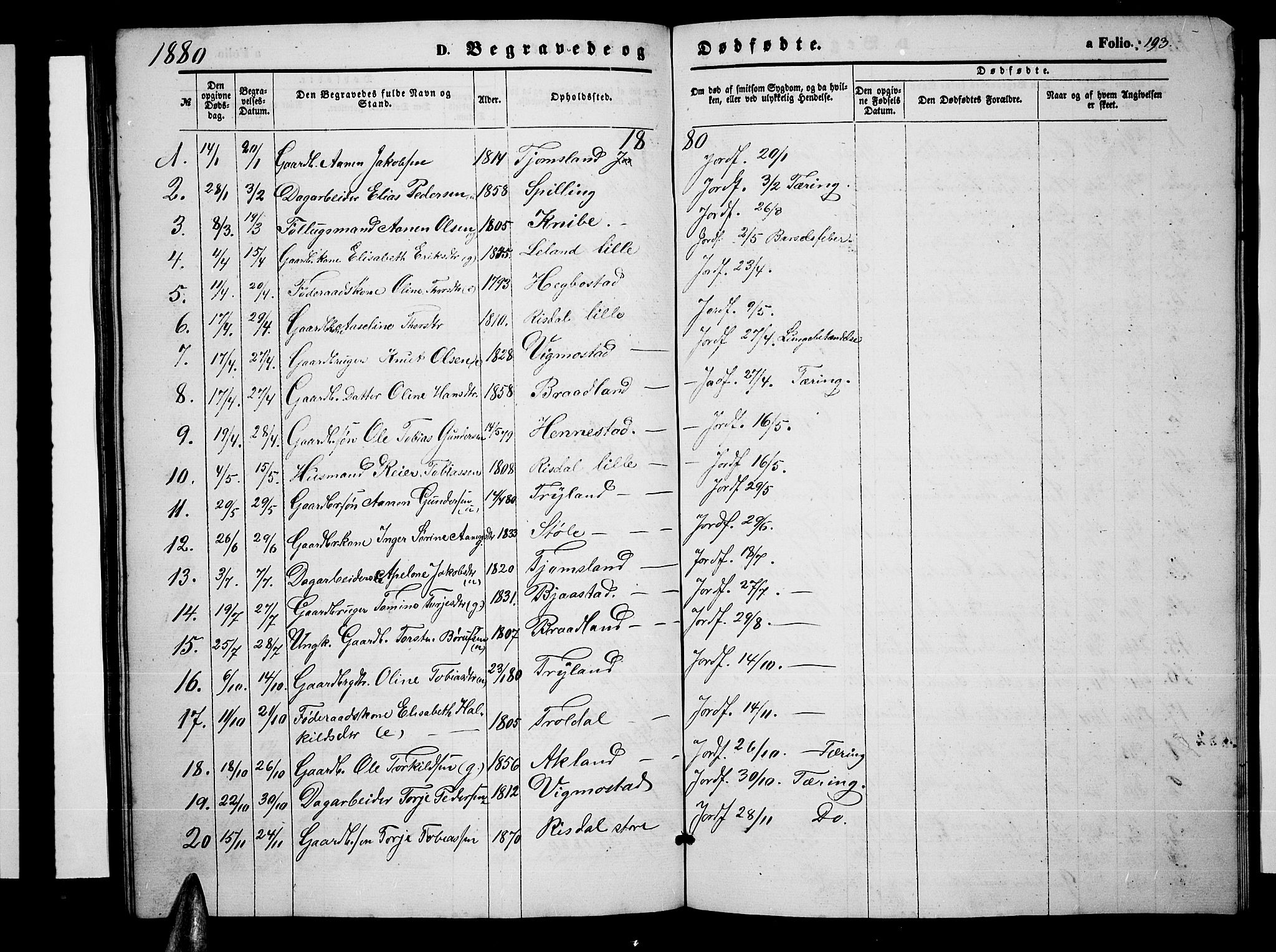 Nord-Audnedal sokneprestkontor, AV/SAK-1111-0032/F/Fb/Fbb/L0002: Parish register (copy) no. B 2, 1859-1882, p. 193