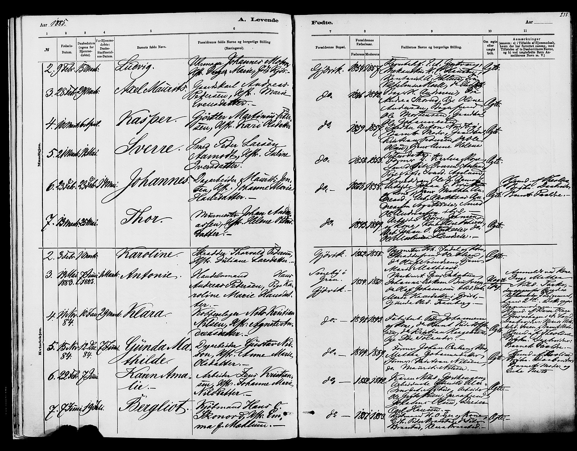 Vardal prestekontor, SAH/PREST-100/H/Ha/Haa/L0008: Parish register (official) no. 8, 1878-1890, p. 238