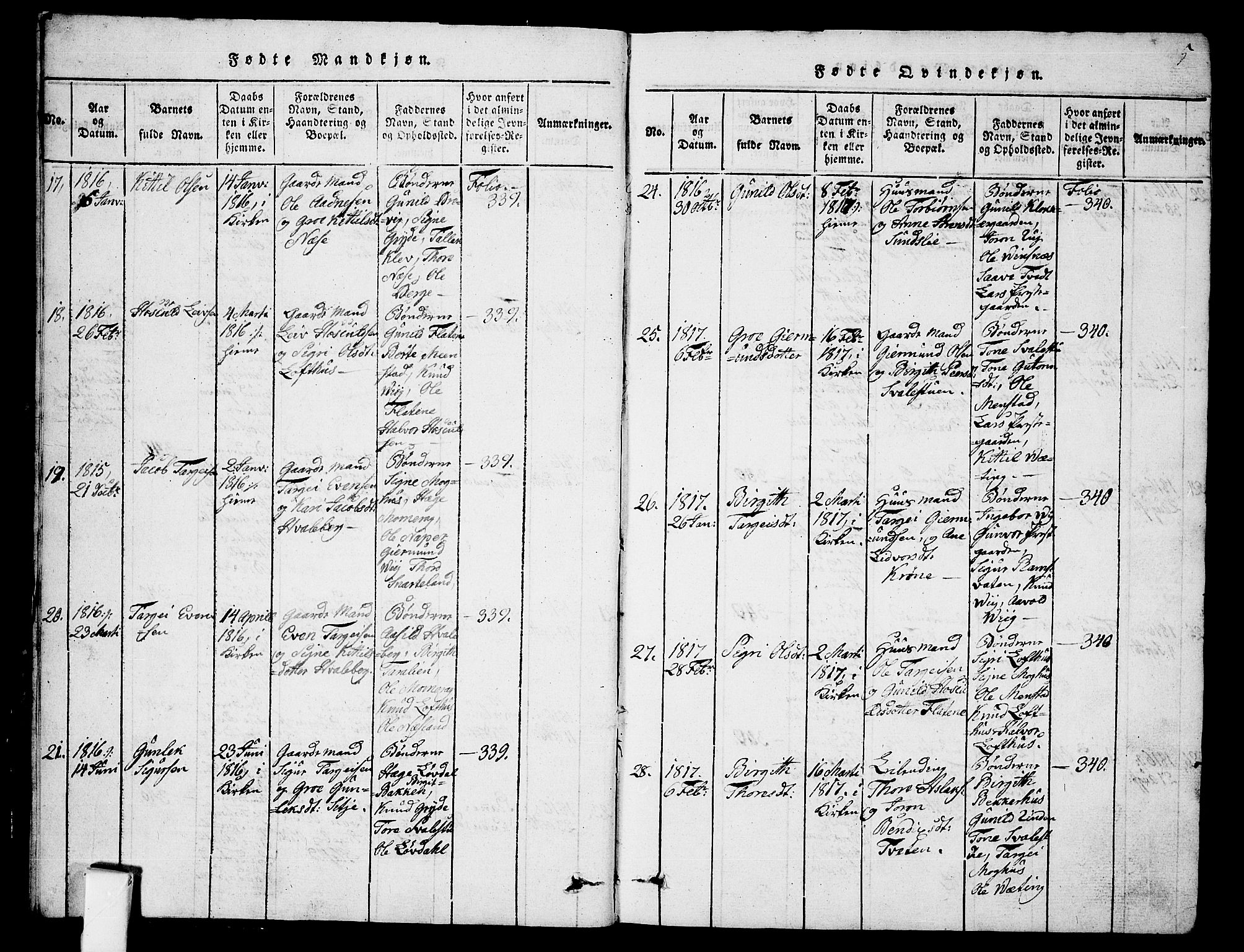Fyresdal kirkebøker, SAKO/A-263/G/Ga/L0001: Parish register (copy) no. I 1, 1816-1840, p. 5