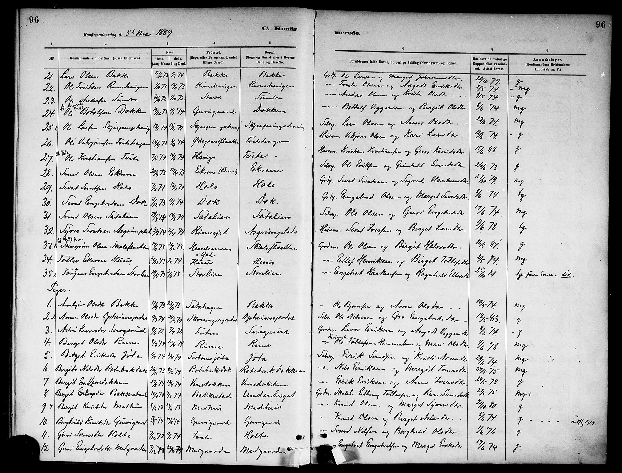 Ål kirkebøker, SAKO/A-249/F/Fa/L0008: Parish register (official) no. I 8, 1882-1896, p. 96