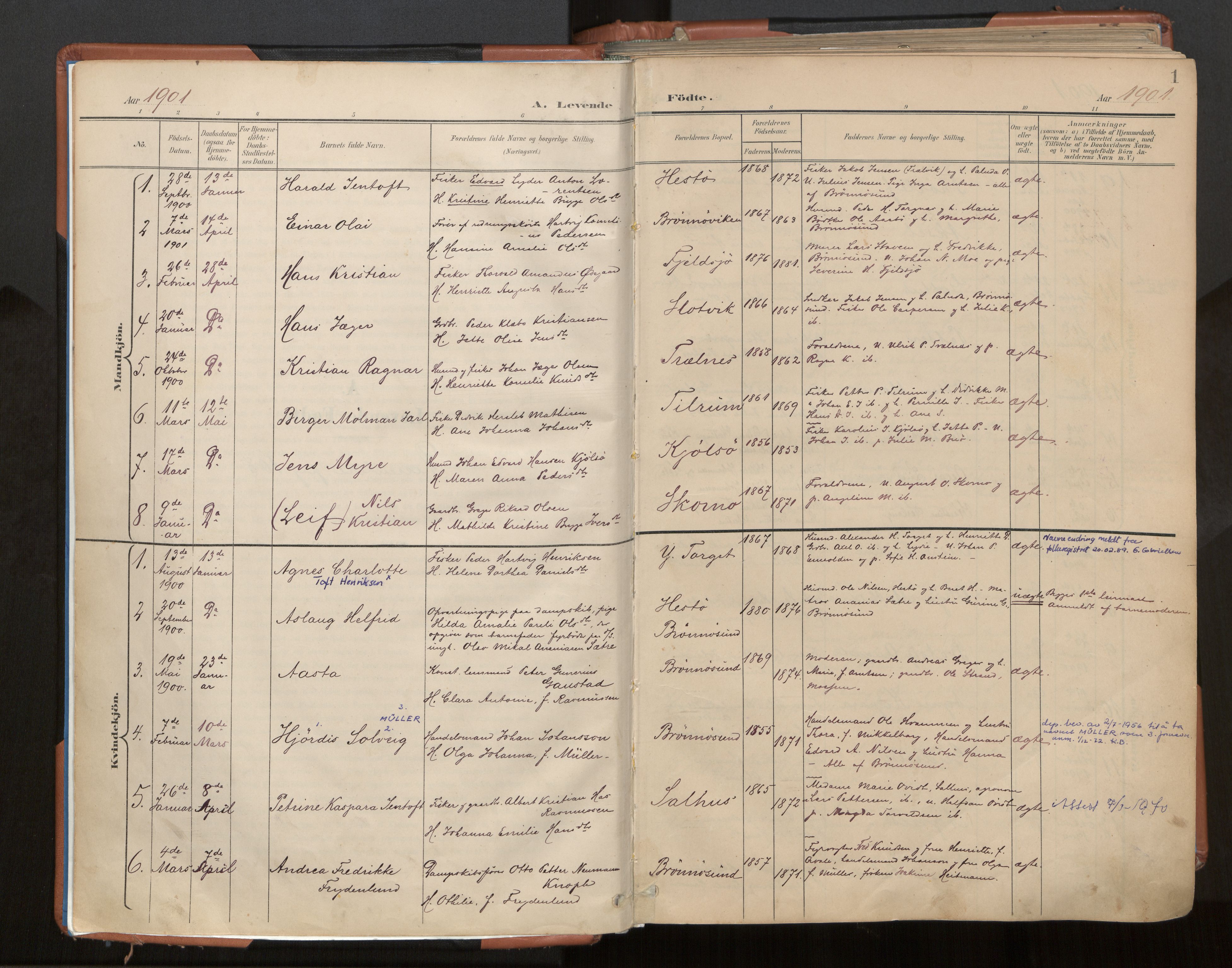 Ministerialprotokoller, klokkerbøker og fødselsregistre - Nordland, SAT/A-1459/813/L0201: Parish register (official) no. 813A11, 1901-1918, p. 1