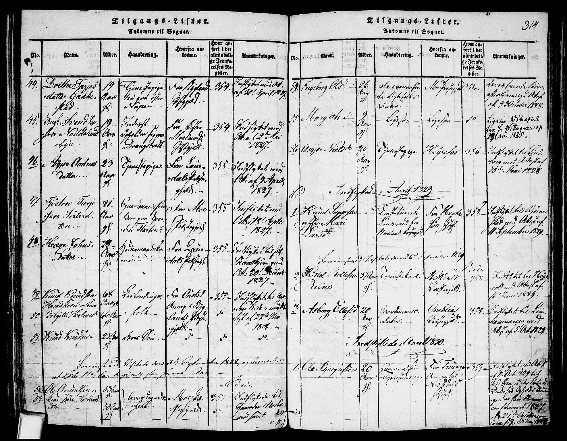 Fyresdal kirkebøker, AV/SAKO-A-263/F/Fa/L0003: Parish register (official) no. I 3, 1815-1840, p. 314