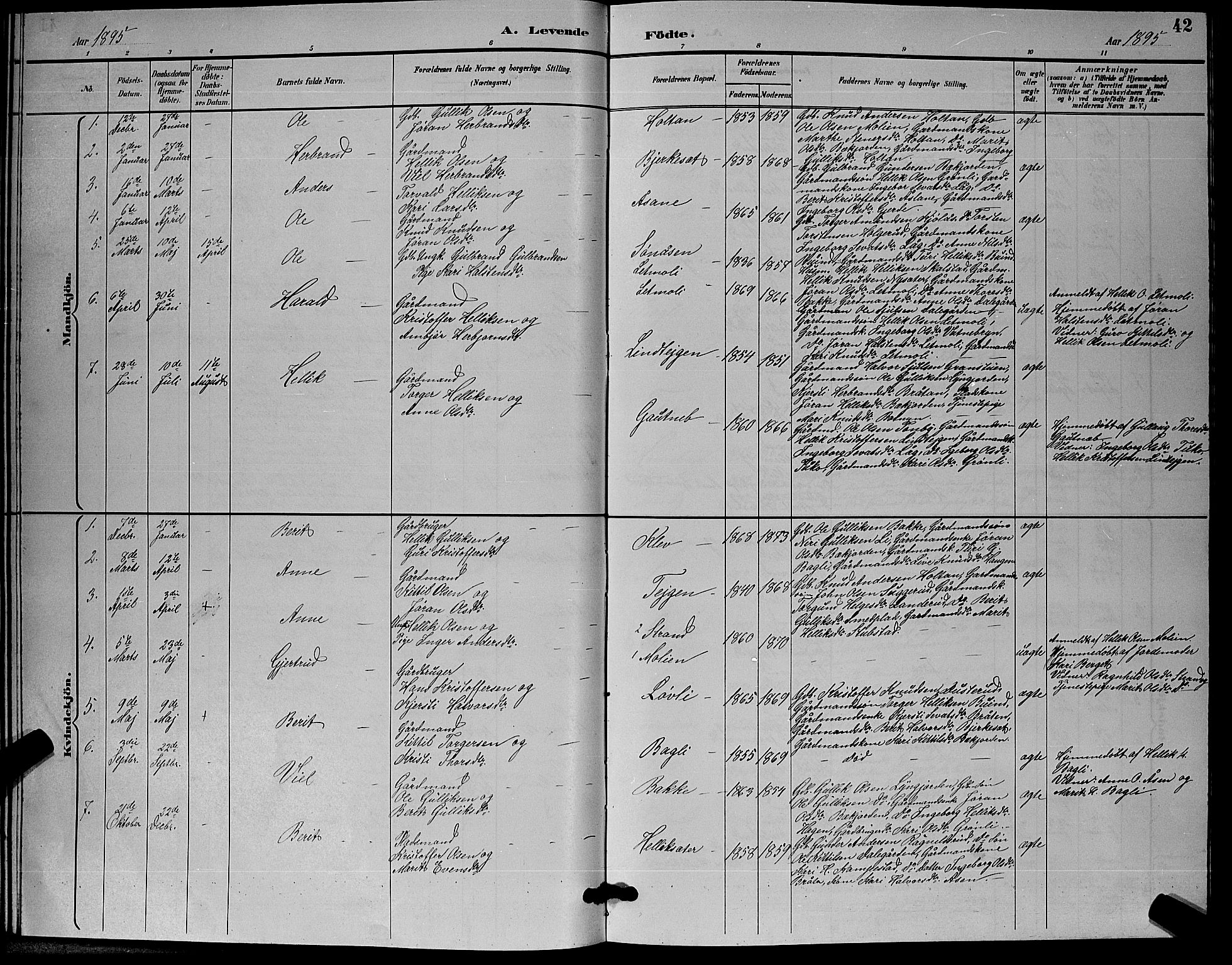 Flesberg kirkebøker, AV/SAKO-A-18/G/Ga/L0004: Parish register (copy) no. I 4 /3, 1890-1898, p. 42