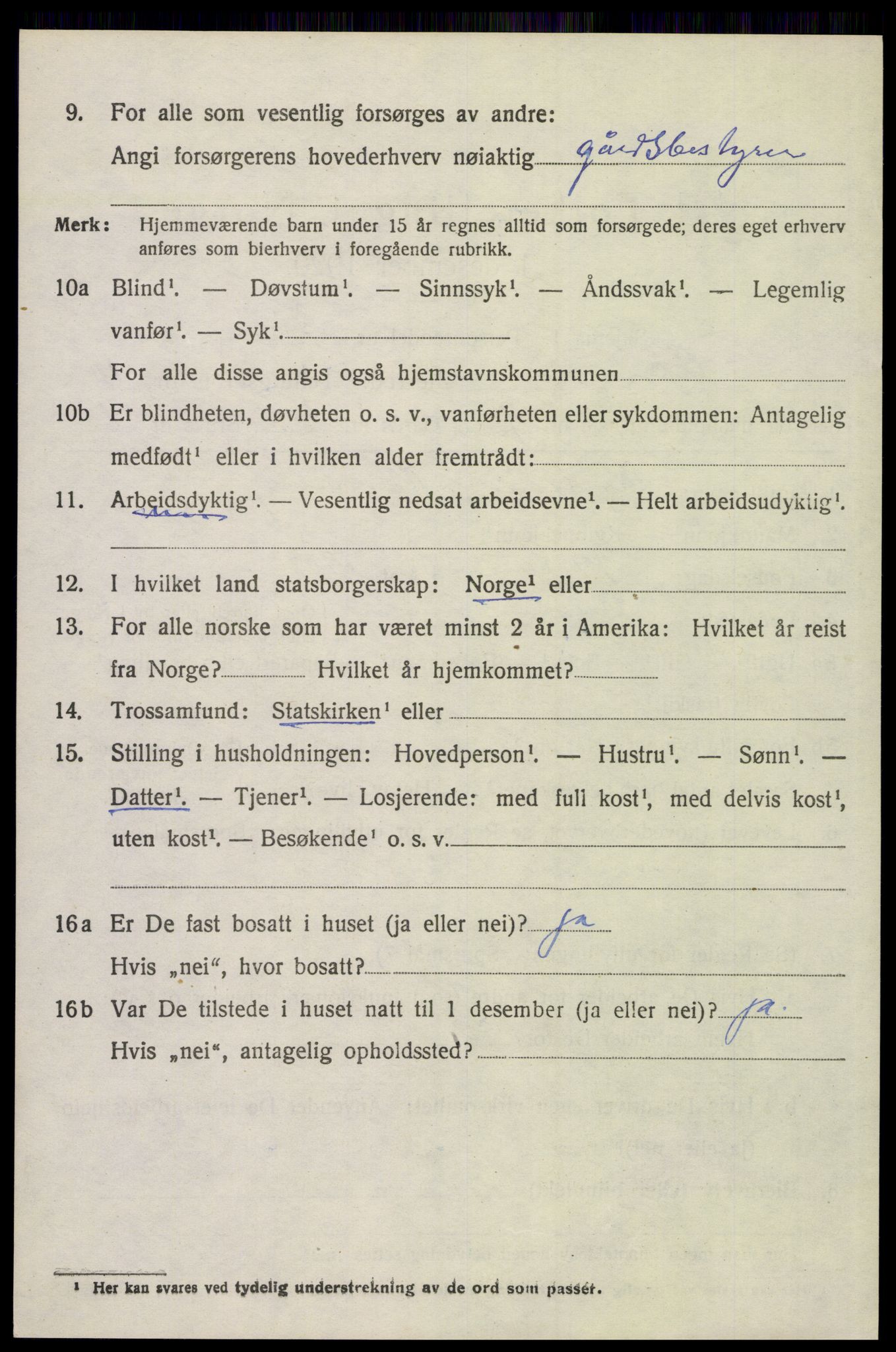 SAH, 1920 census for Åsnes, 1920, p. 12347