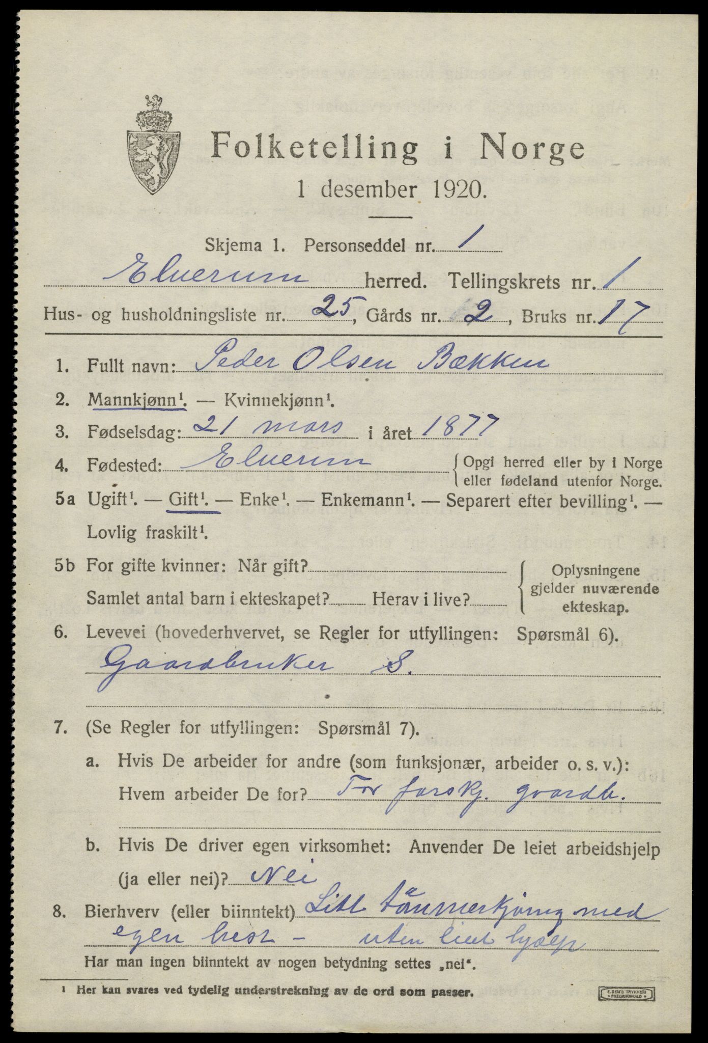 SAH, 1920 census for Elverum, 1920, p. 4046