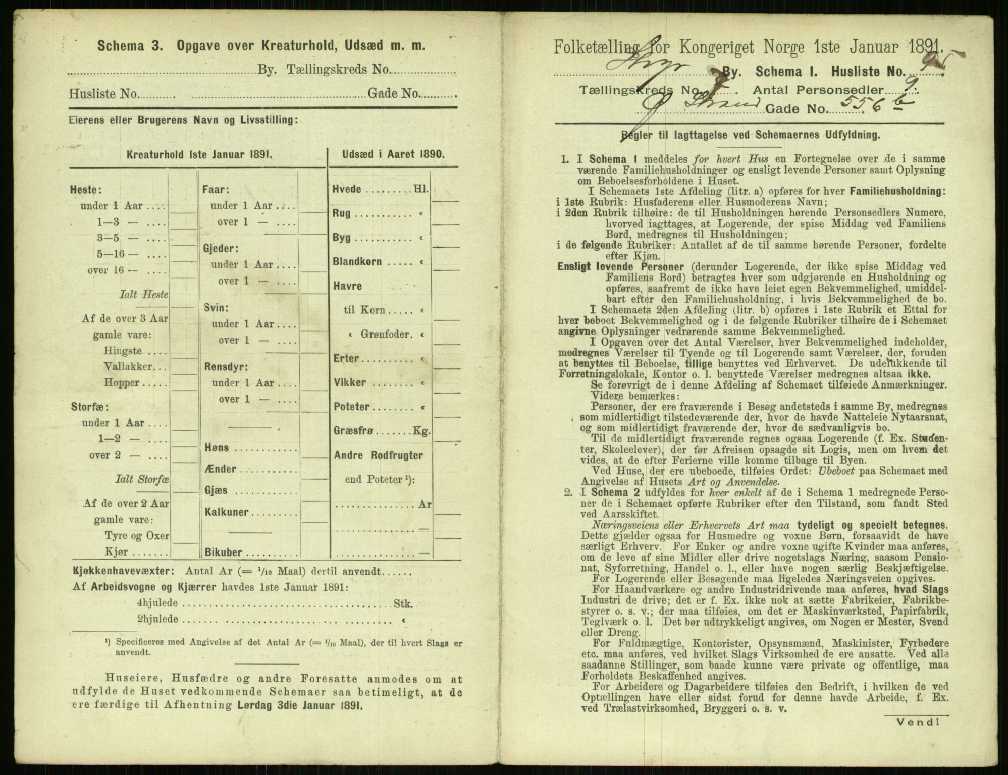 RA, 1891 census for 1103 Stavanger, 1891, p. 1483