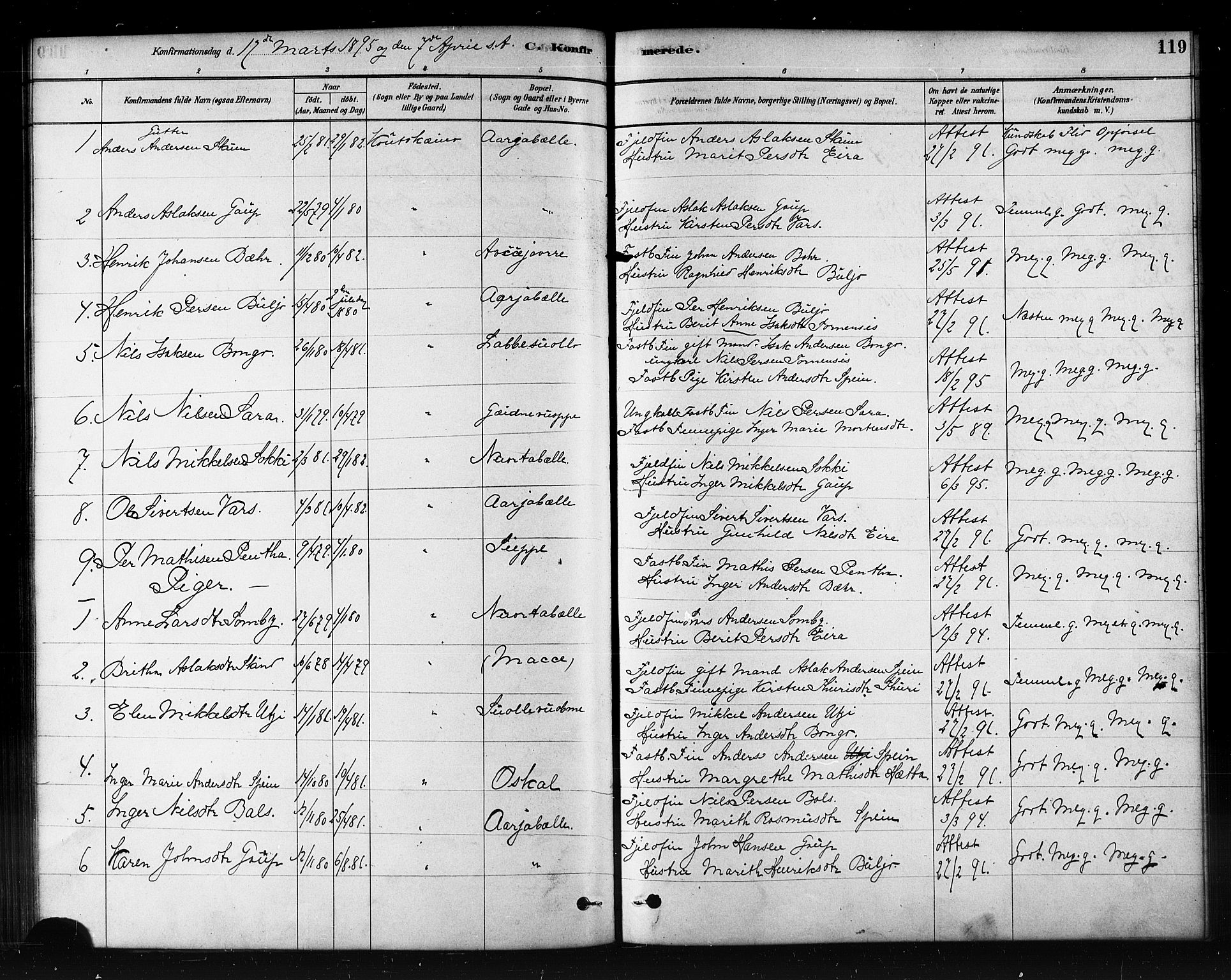 Kautokeino sokneprestembete, SATØ/S-1340/H/Hb/L0002.klokk: Parish register (copy) no. 2, 1877-1896, p. 119