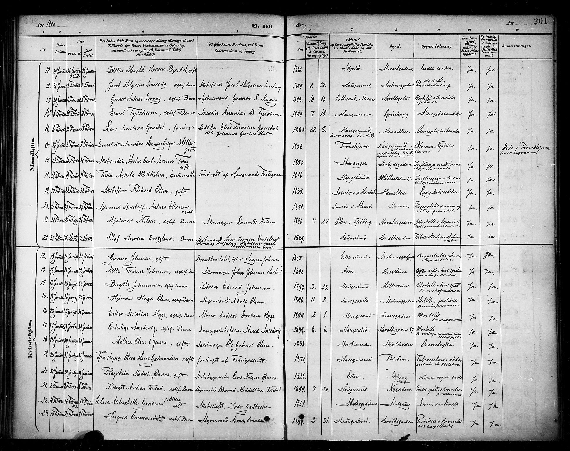 Haugesund sokneprestkontor, SAST/A -101863/H/Ha/Haa/L0005: Parish register (official) no. A 5, 1891-1903, p. 201