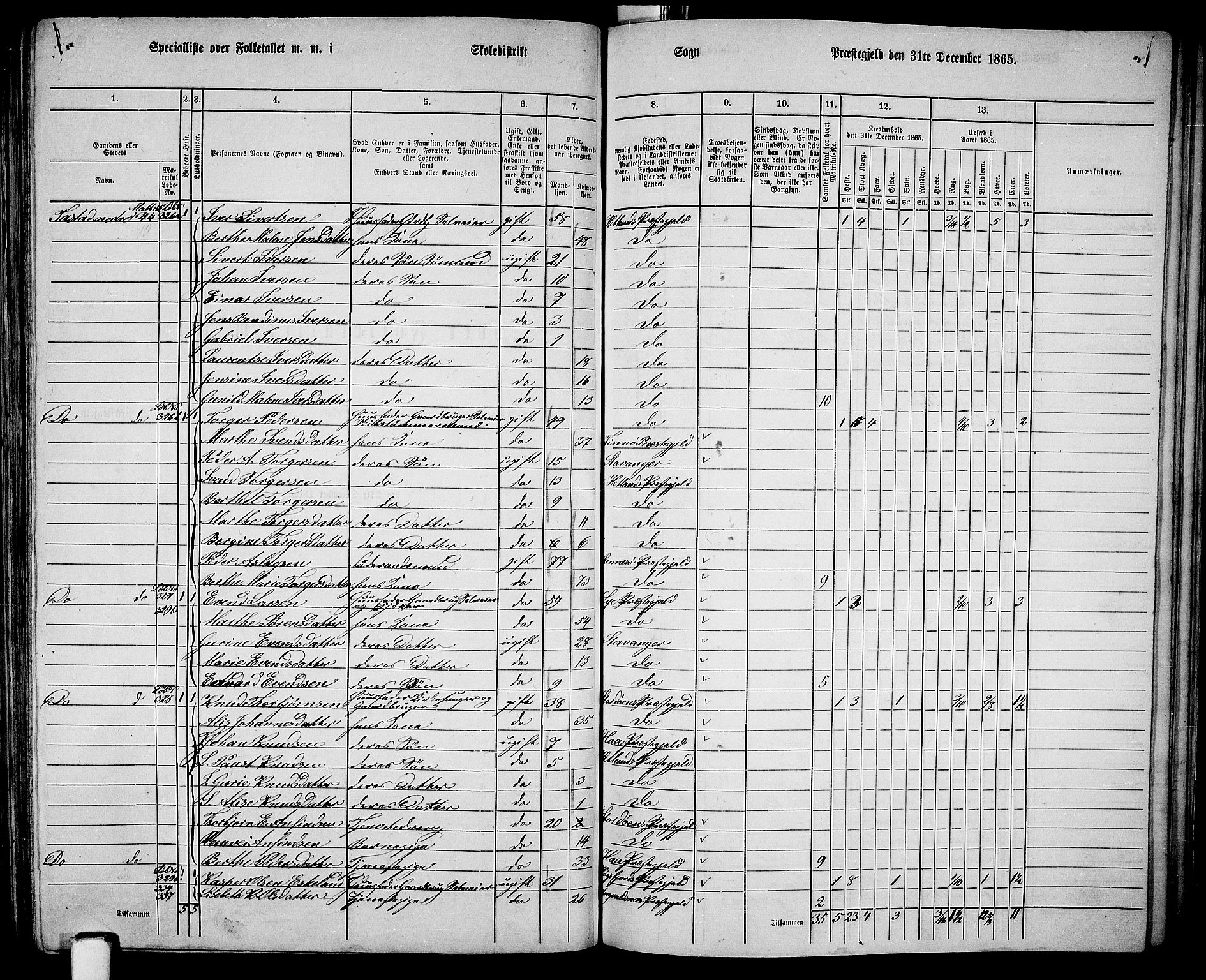 RA, 1865 census for Hetland, 1865, p. 167