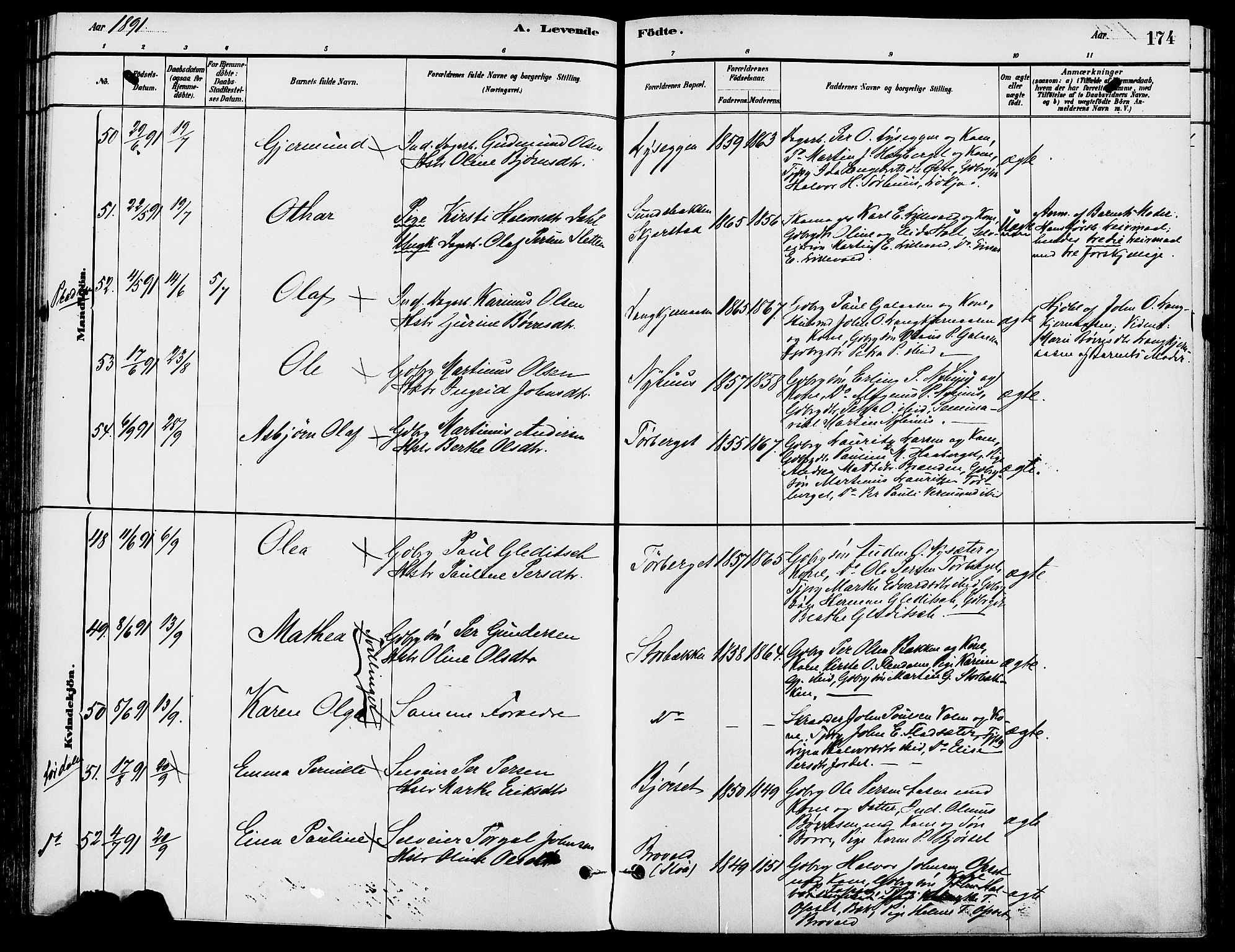 Trysil prestekontor, SAH/PREST-046/H/Ha/Haa/L0008: Parish register (official) no. 8, 1881-1897, p. 174