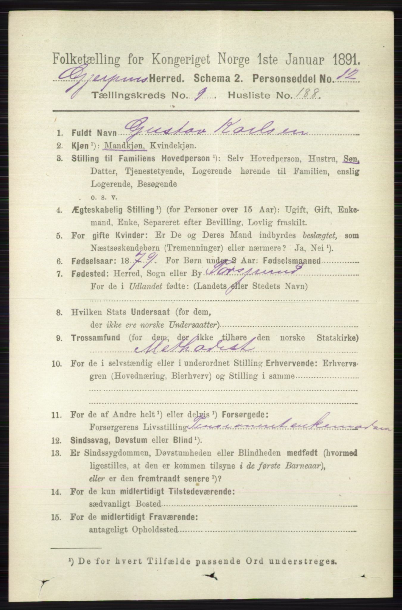 RA, 1891 census for 0812 Gjerpen, 1891, p. 6062