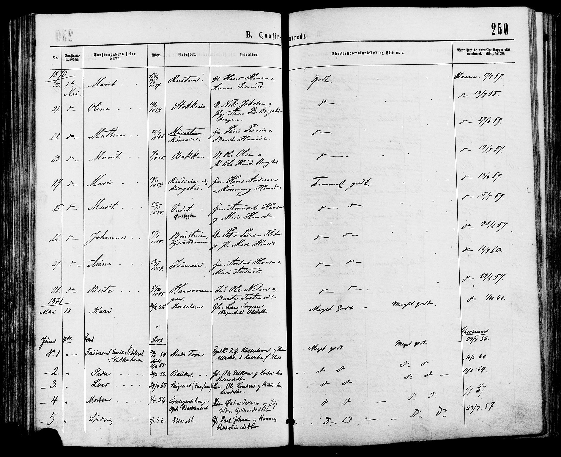 Sør-Fron prestekontor, SAH/PREST-010/H/Ha/Haa/L0002: Parish register (official) no. 2, 1864-1880, p. 250