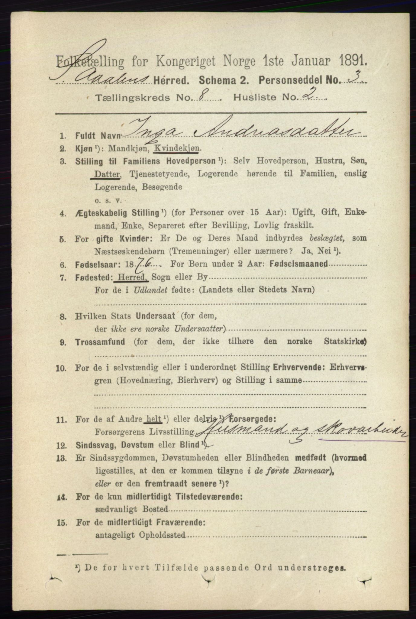 RA, 1891 census for 0419 Sør-Odal, 1891, p. 3984