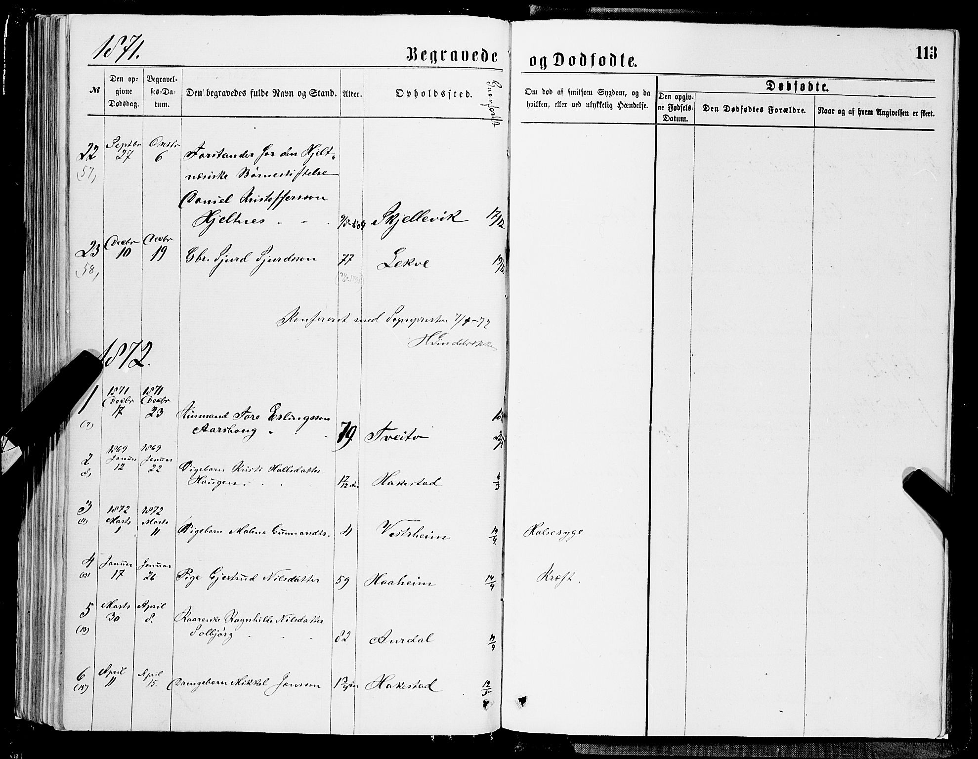 Ulvik sokneprestembete, SAB/A-78801/H/Hab: Parish register (copy) no. A 2, 1869-1882, p. 113