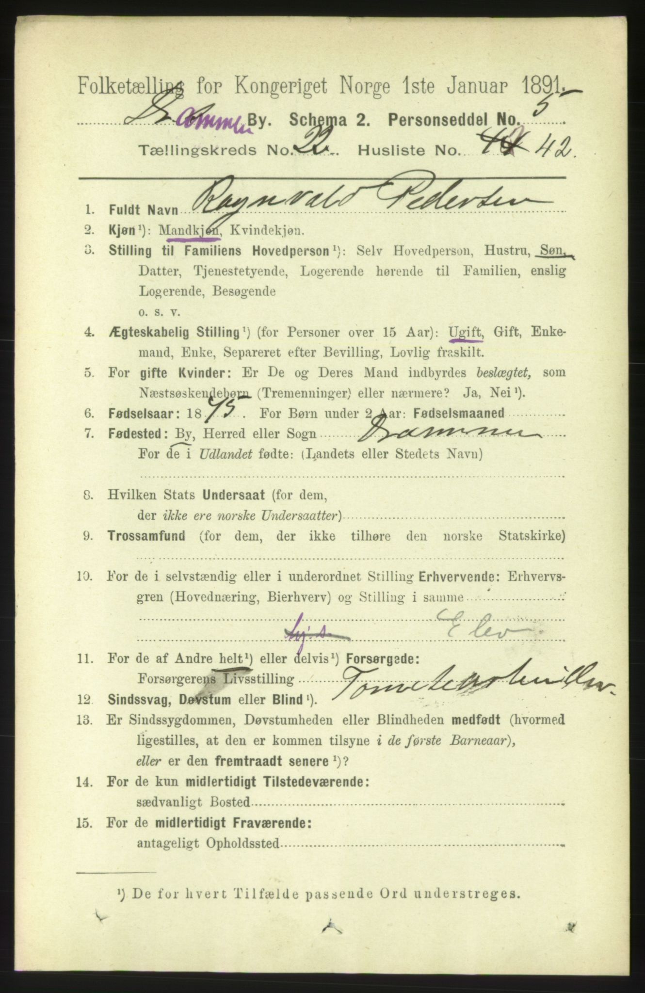 RA, 1891 census for 0602 Drammen, 1891, p. 14055