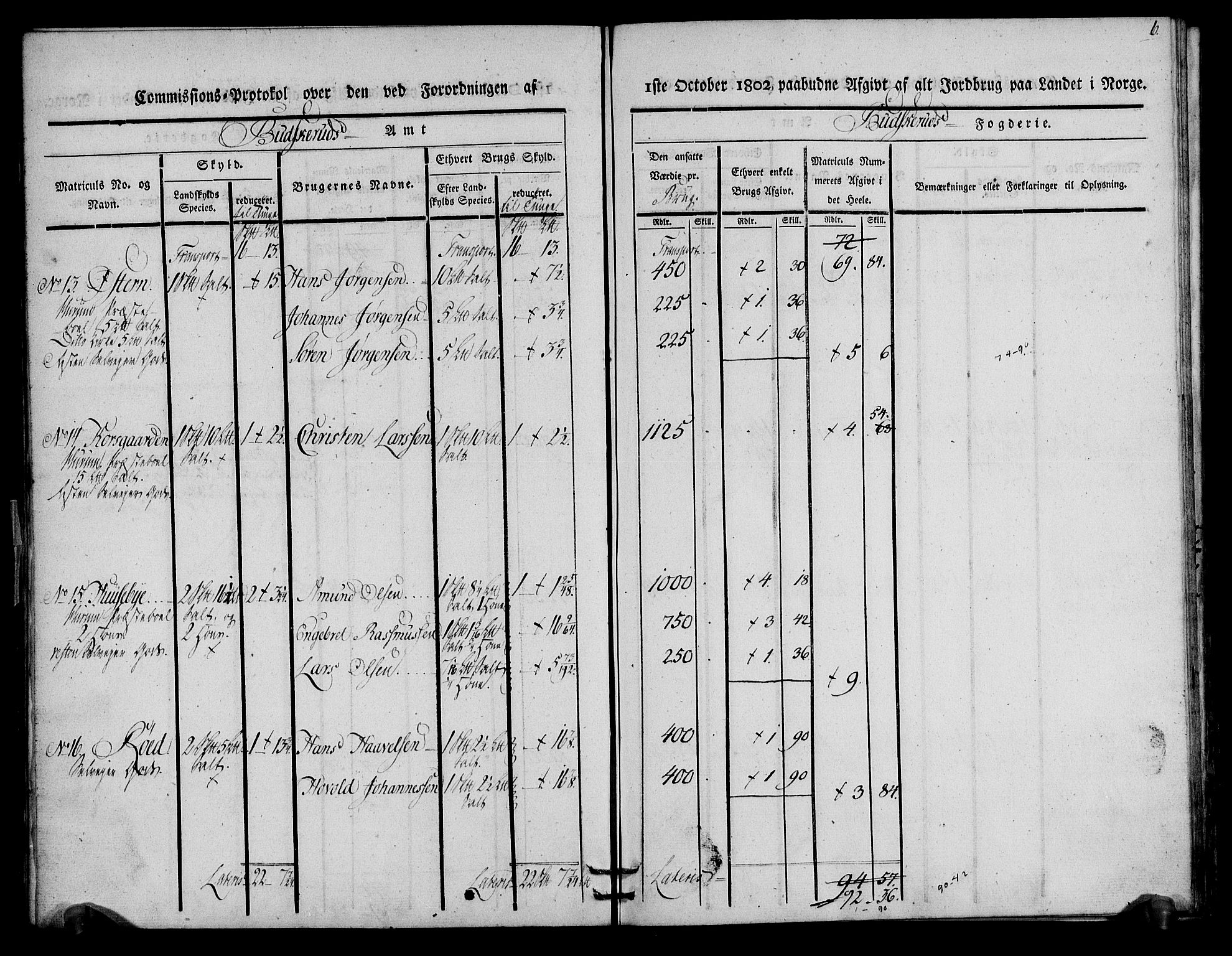 Rentekammeret inntil 1814, Realistisk ordnet avdeling, AV/RA-EA-4070/N/Ne/Nea/L0063: Buskerud fogderi. Kommisjonsprotokoll for Hurum prestegjeld, 1803, p. 6