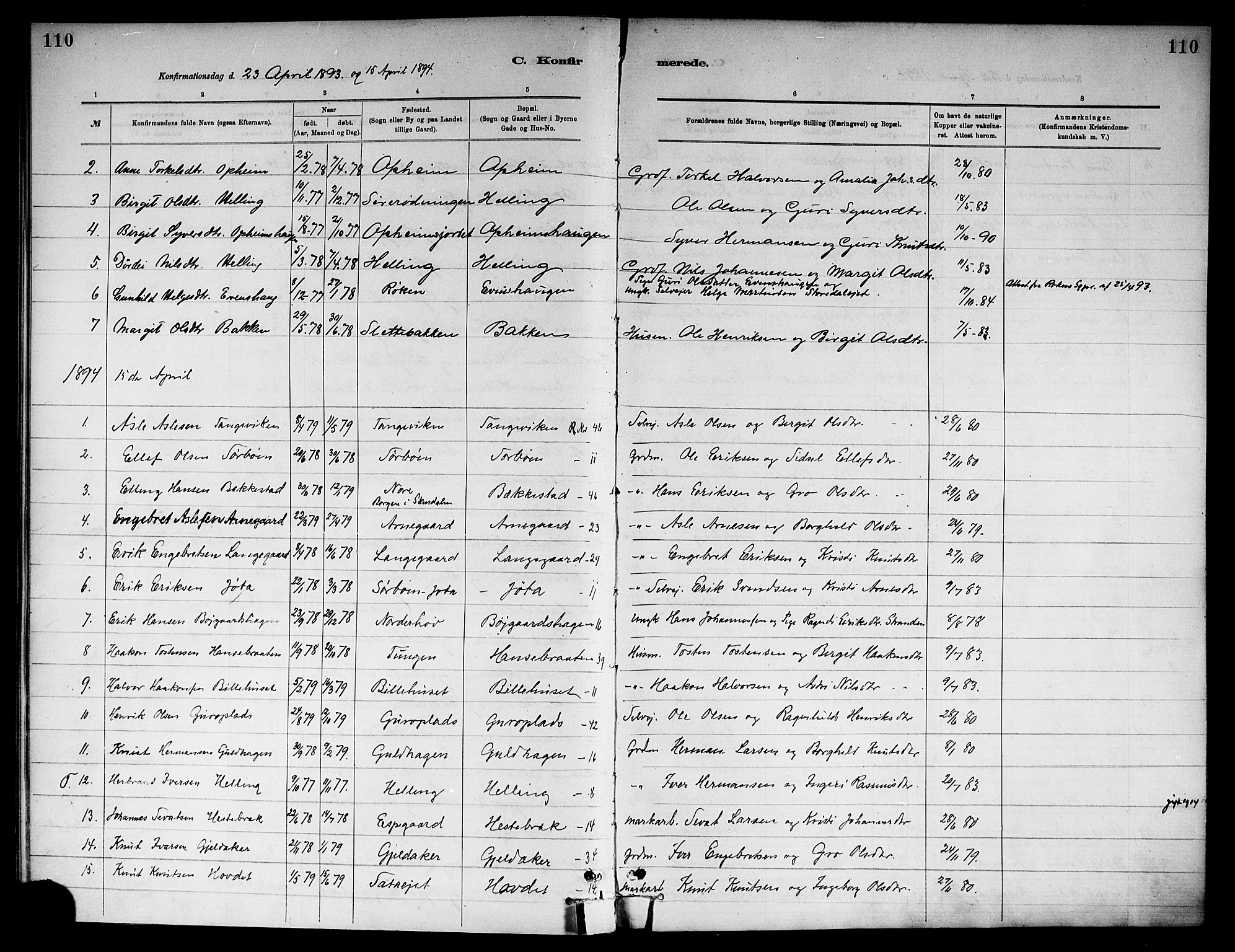 Ål kirkebøker, SAKO/A-249/F/Fa/L0008: Parish register (official) no. I 8, 1882-1896, p. 110