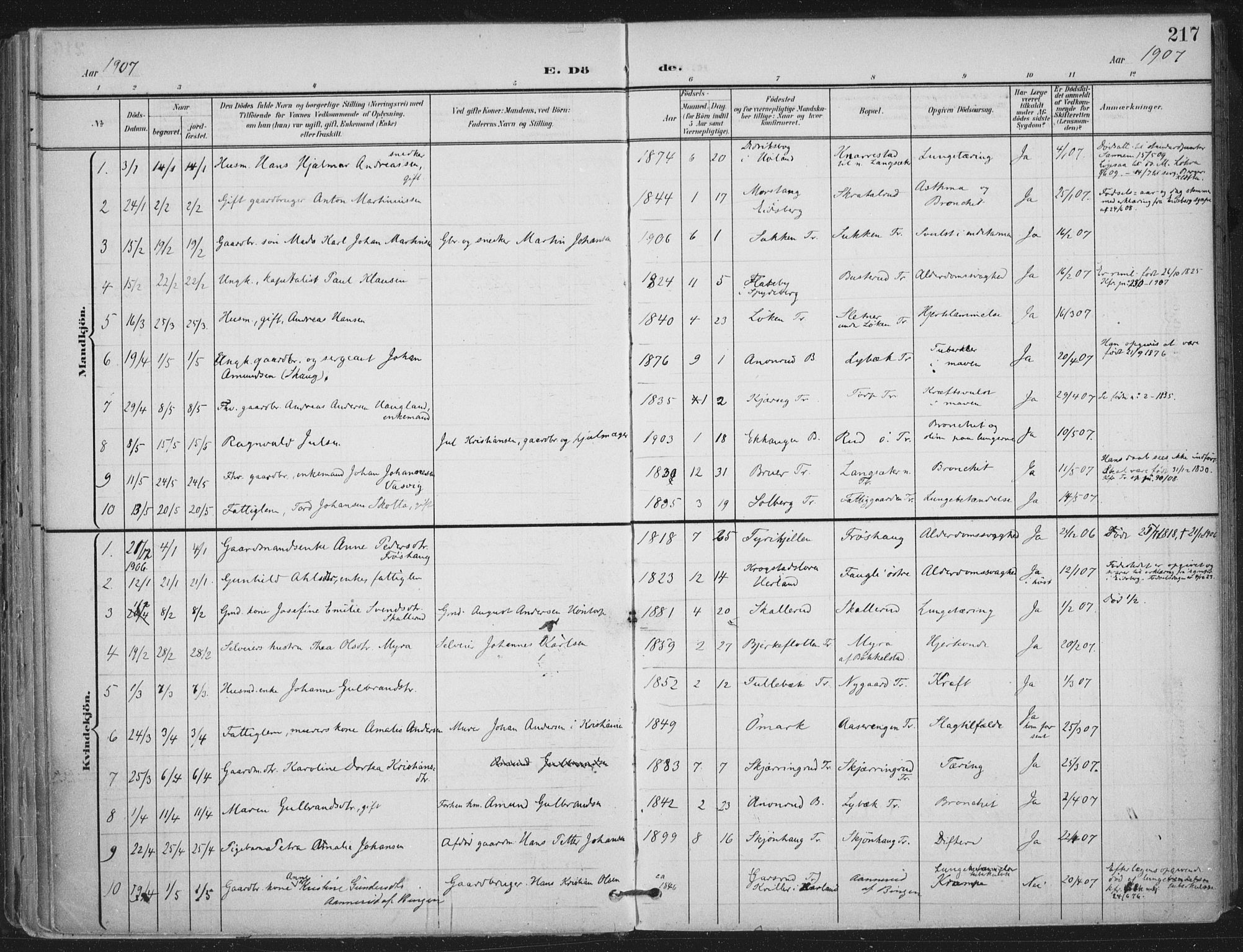 Trøgstad prestekontor Kirkebøker, AV/SAO-A-10925/F/Fa/L0011: Parish register (official) no. I 11, 1899-1919, p. 217