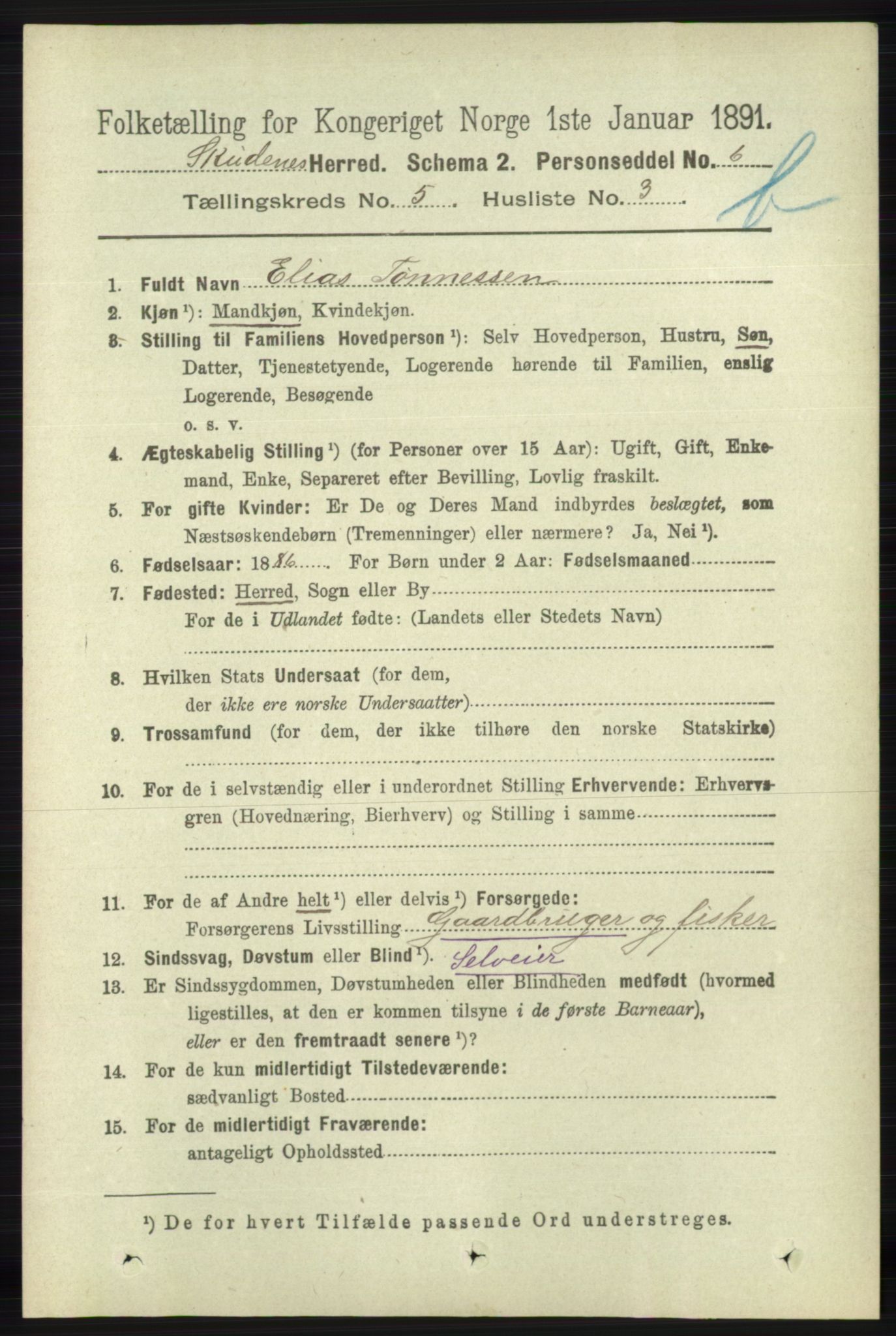 RA, 1891 census for 1150 Skudenes, 1891, p. 5245