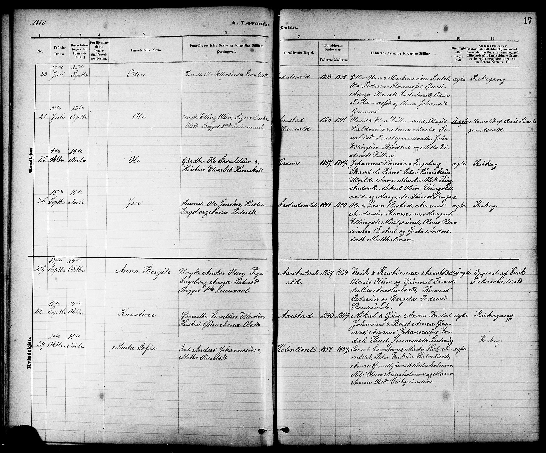 Ministerialprotokoller, klokkerbøker og fødselsregistre - Nord-Trøndelag, AV/SAT-A-1458/724/L0267: Parish register (copy) no. 724C03, 1879-1898, p. 17