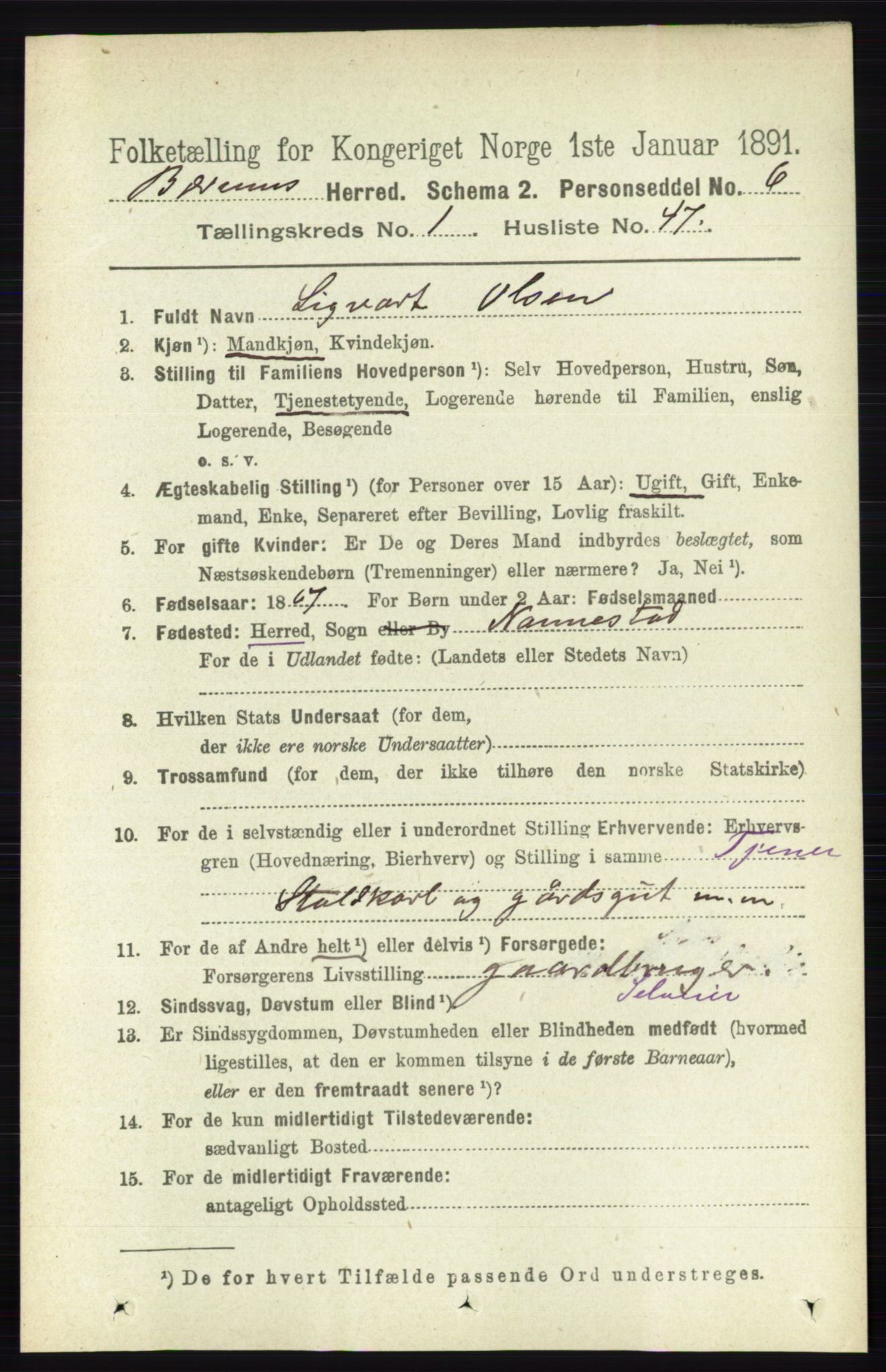 RA, 1891 census for 0219 Bærum, 1891, p. 565