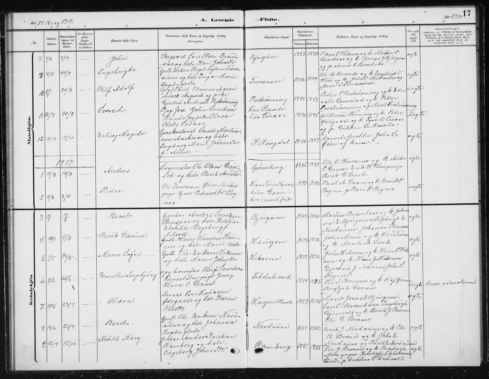 Ministerialprotokoller, klokkerbøker og fødselsregistre - Sør-Trøndelag, SAT/A-1456/685/L0979: Parish register (copy) no. 685C04, 1908-1933, p. 17