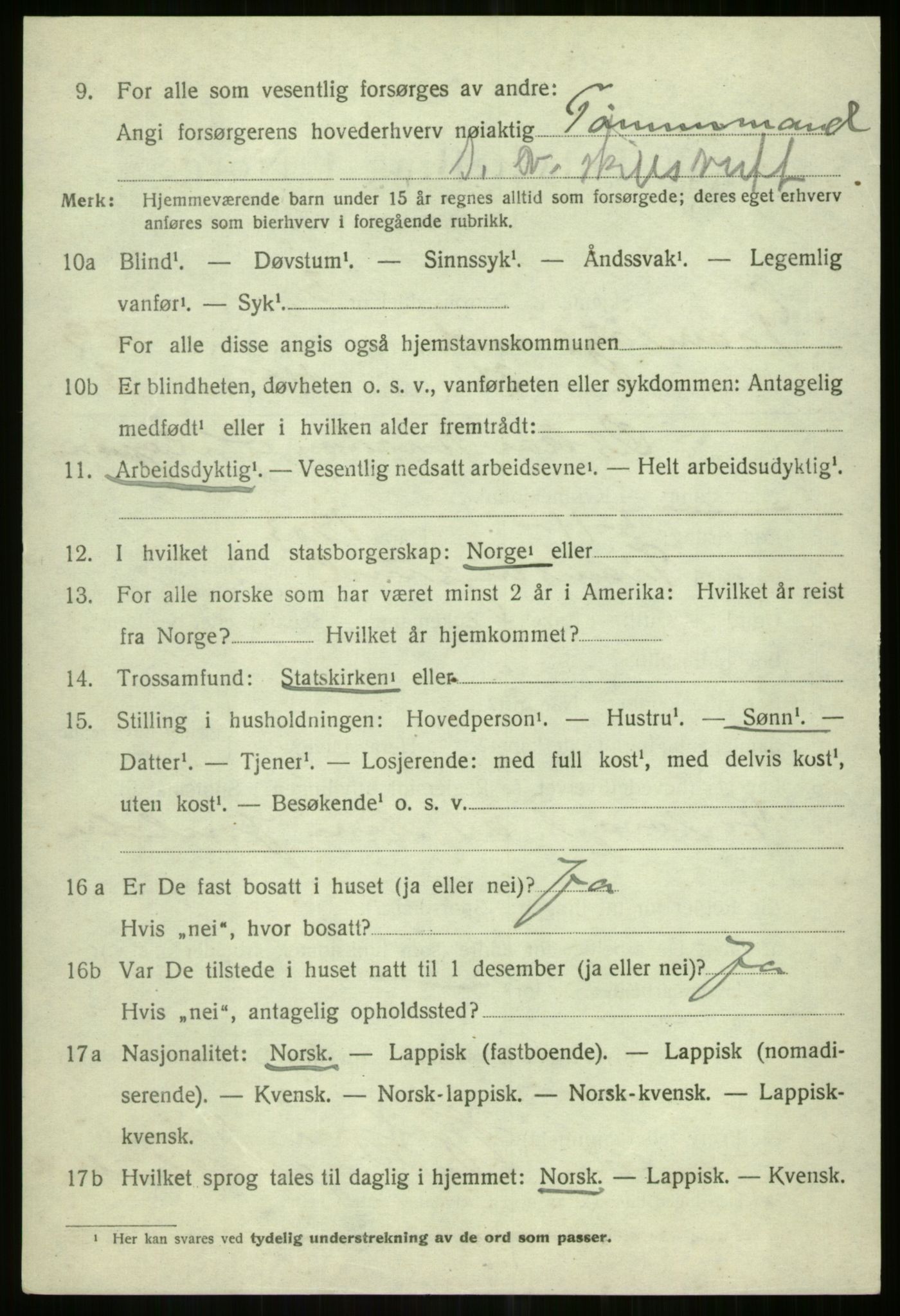 SATØ, 1920 census for Tromsøysund, 1920, p. 13663