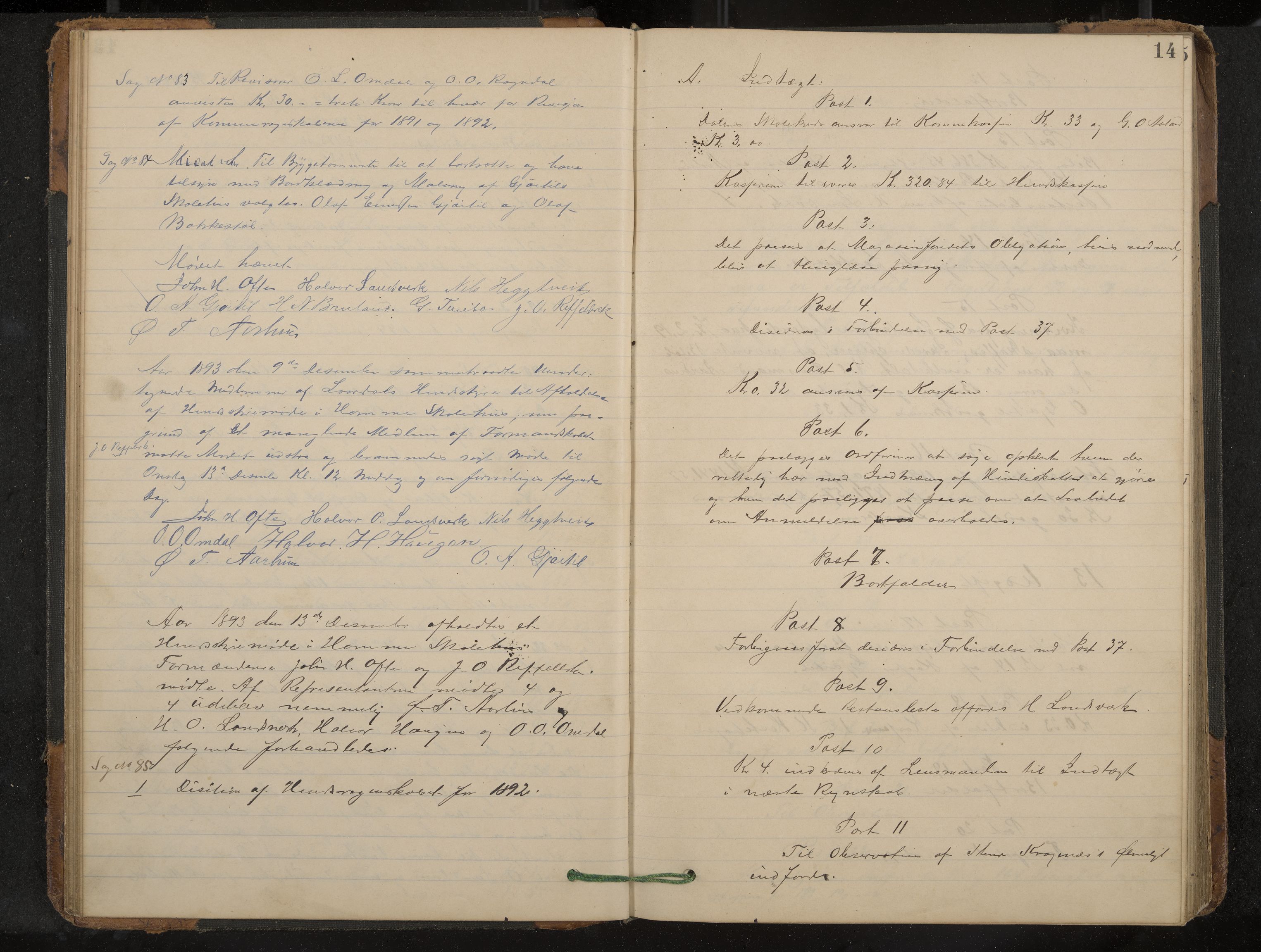 Lårdal formannskap og sentraladministrasjon, IKAK/0833021/A/L0003: Møtebok, 1893-1901, p. 14