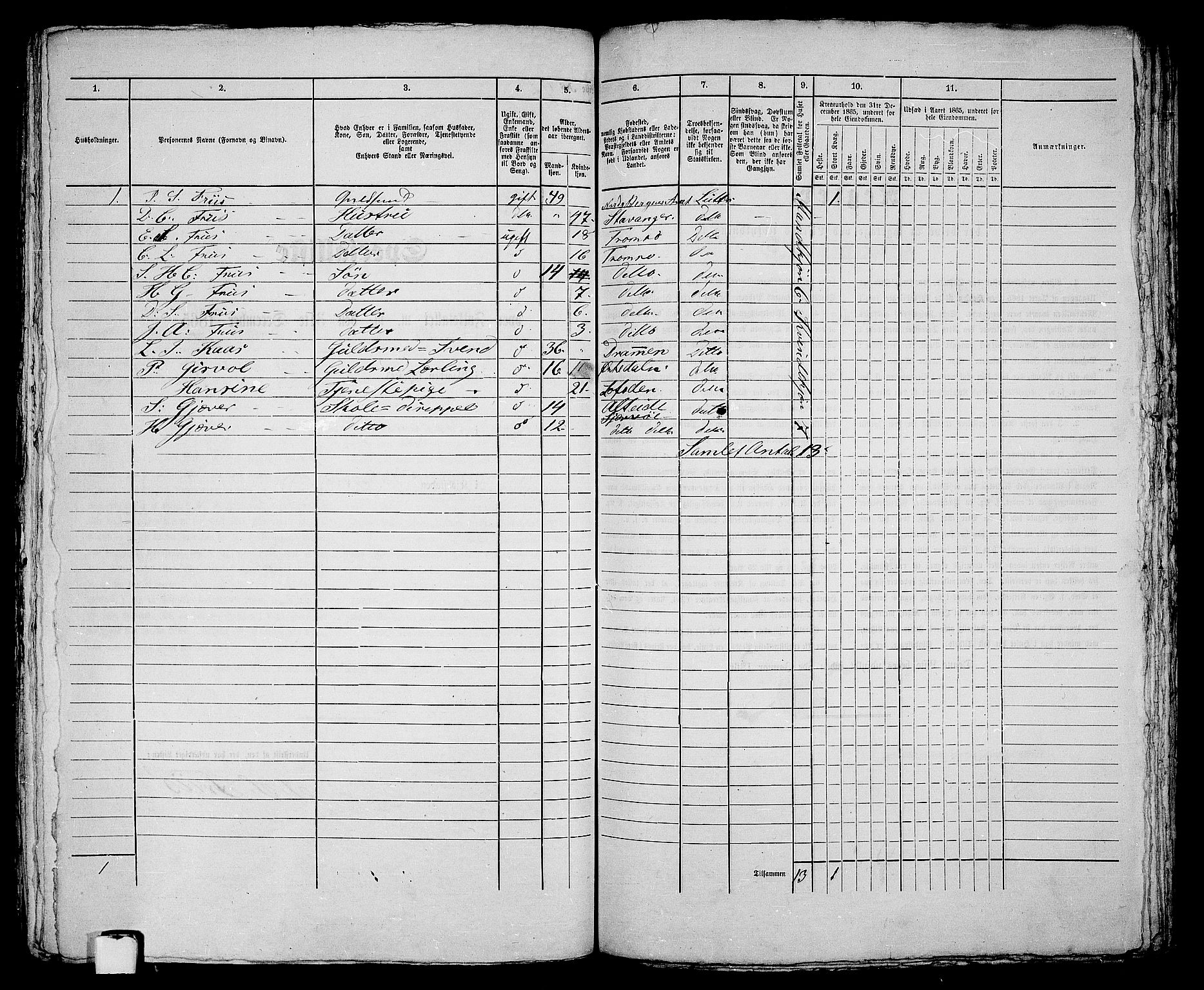 RA, 1865 census for Tromsø, 1865, p. 205