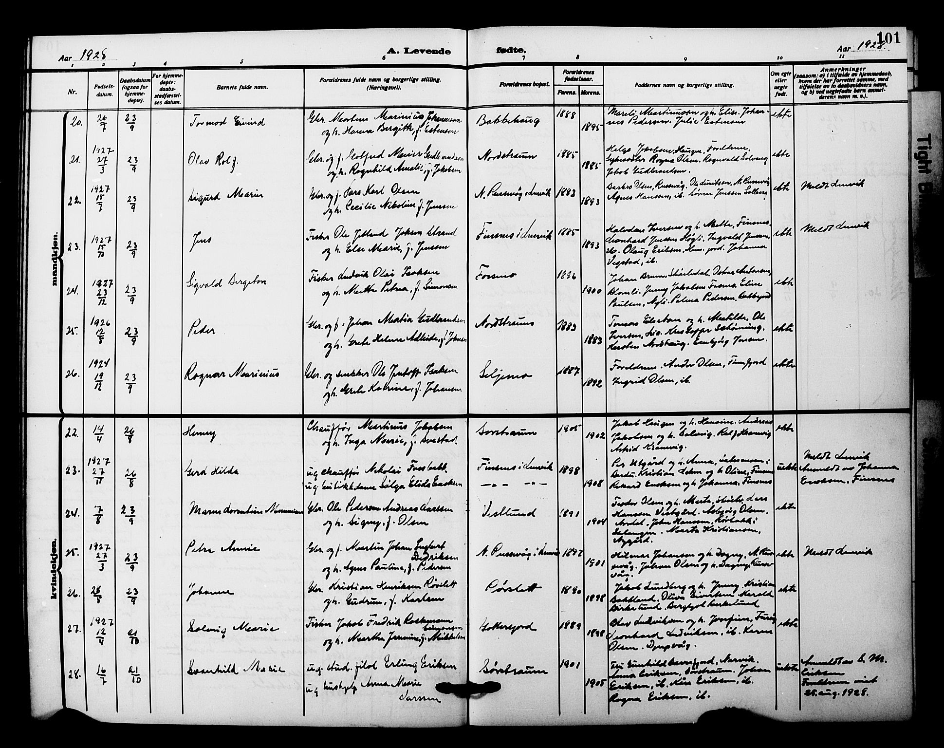 Tranøy sokneprestkontor, AV/SATØ-S-1313/I/Ia/Iab/L0023klokker: Parish register (copy) no. 23, 1913-1928, p. 101