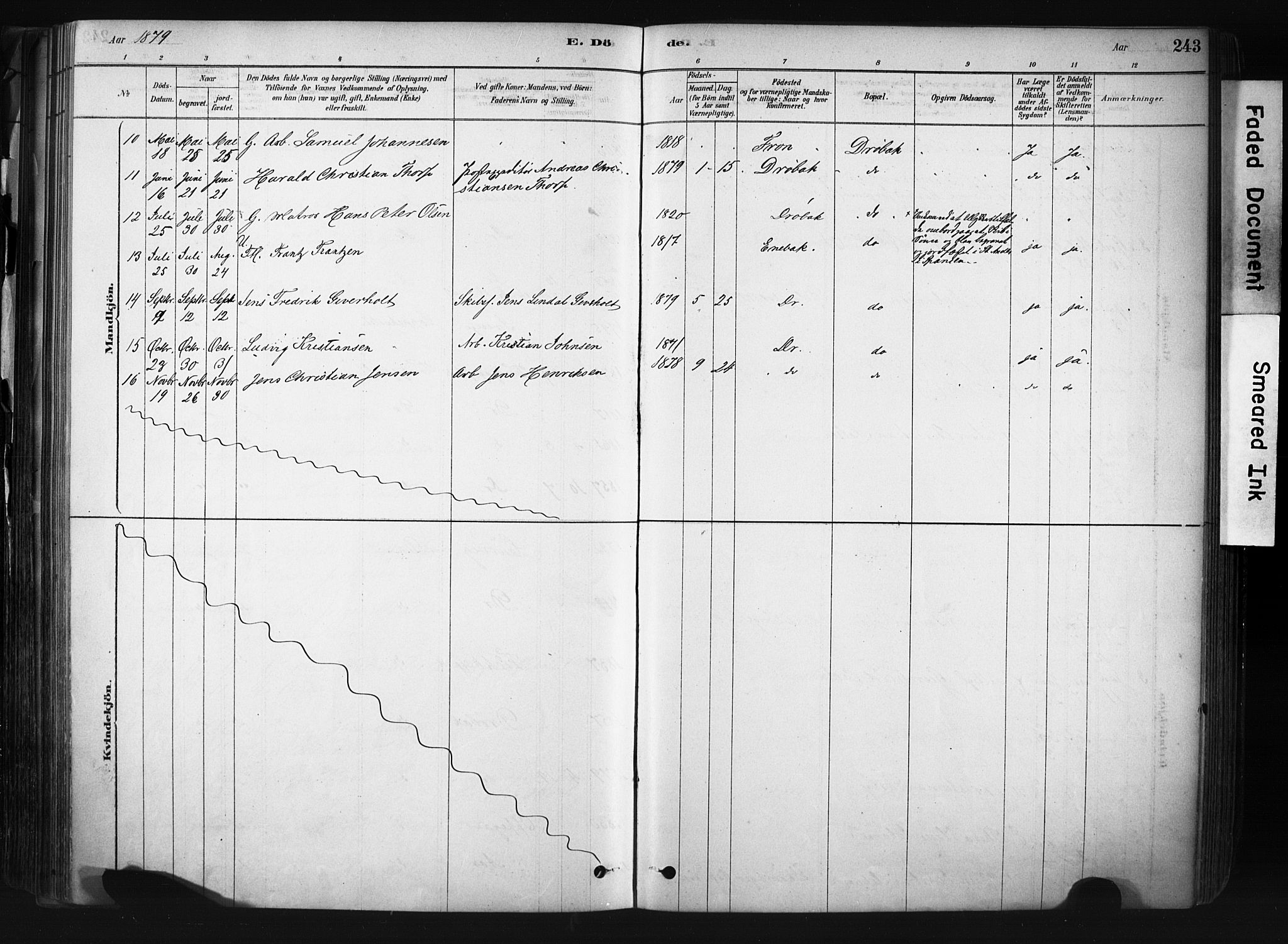 Drøbak prestekontor Kirkebøker, AV/SAO-A-10142a/F/Fb/L0001: Parish register (official) no. II 1, 1878-1891, p. 243