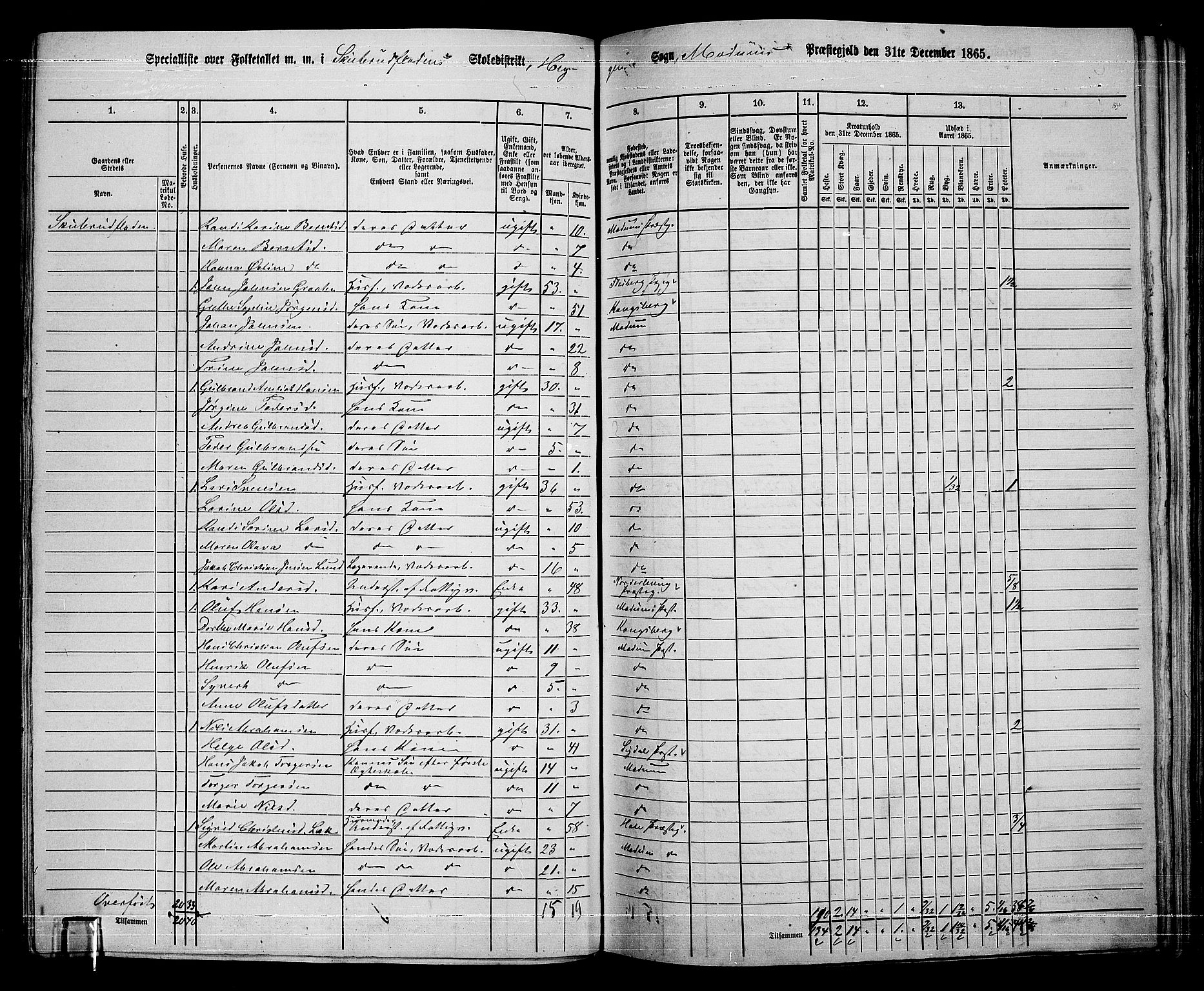 RA, 1865 census for Modum, 1865, p. 219