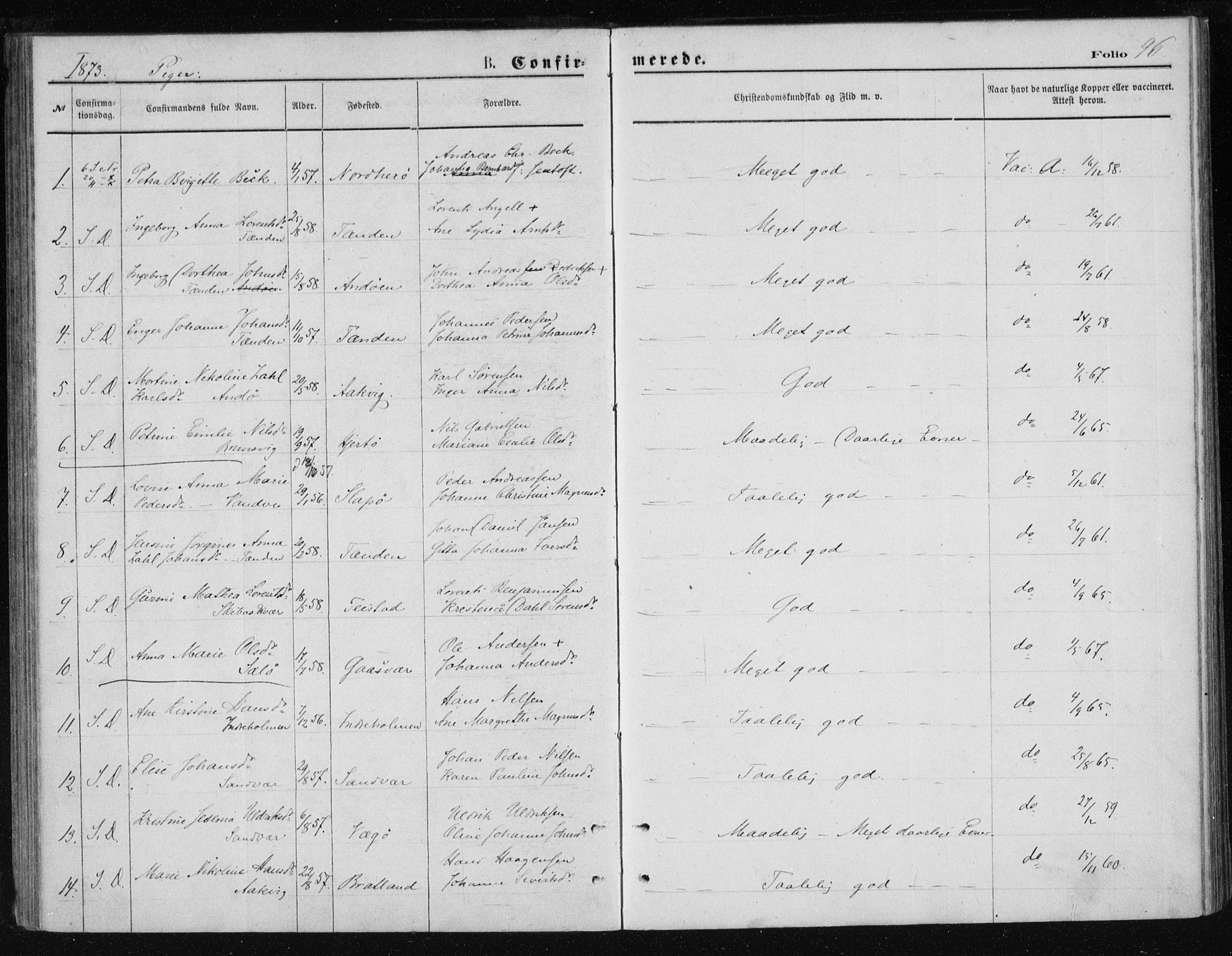 Ministerialprotokoller, klokkerbøker og fødselsregistre - Nordland, AV/SAT-A-1459/834/L0506: Parish register (official) no. 834A04, 1872-1878, p. 96