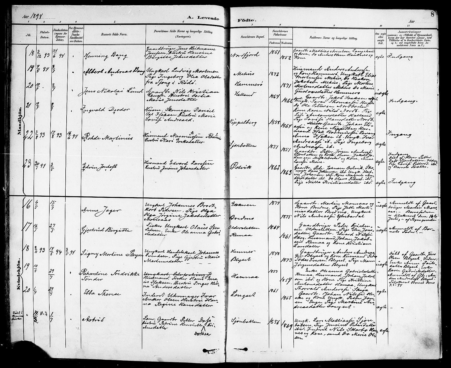 Ministerialprotokoller, klokkerbøker og fødselsregistre - Nordland, AV/SAT-A-1459/838/L0559: Parish register (copy) no. 838C06, 1893-1910, p. 8